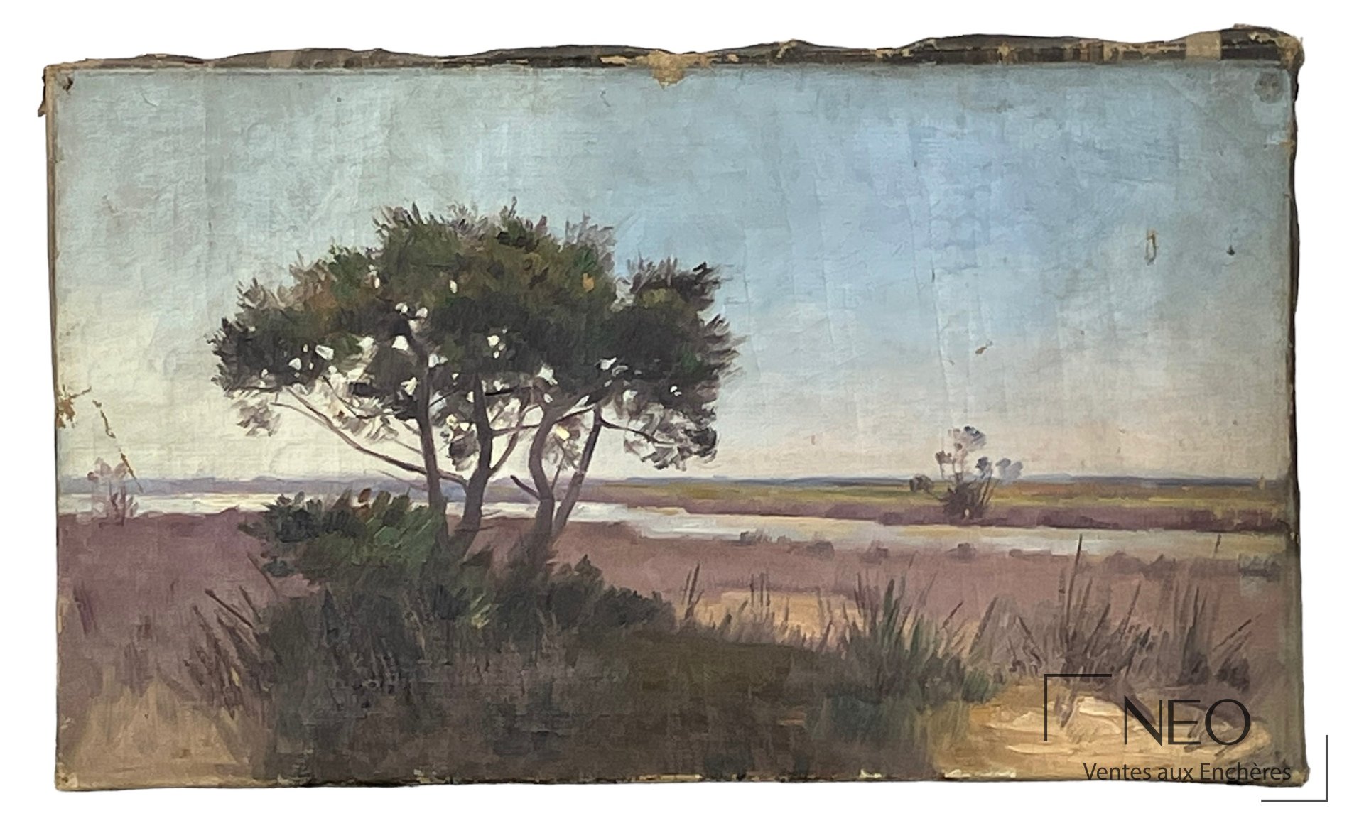 Huile sur toile représentant un paysage de Camargue avec arbuste au premier plan.