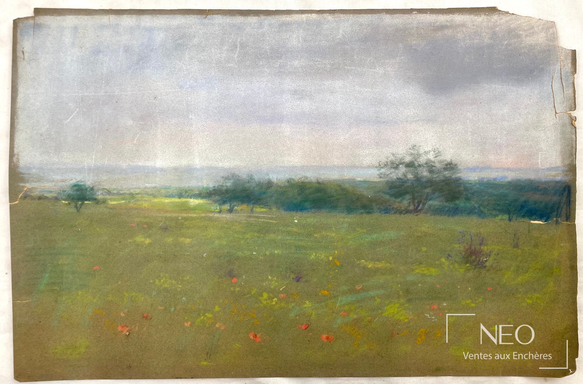 Paysage aux coquelicots au pastel sur papier