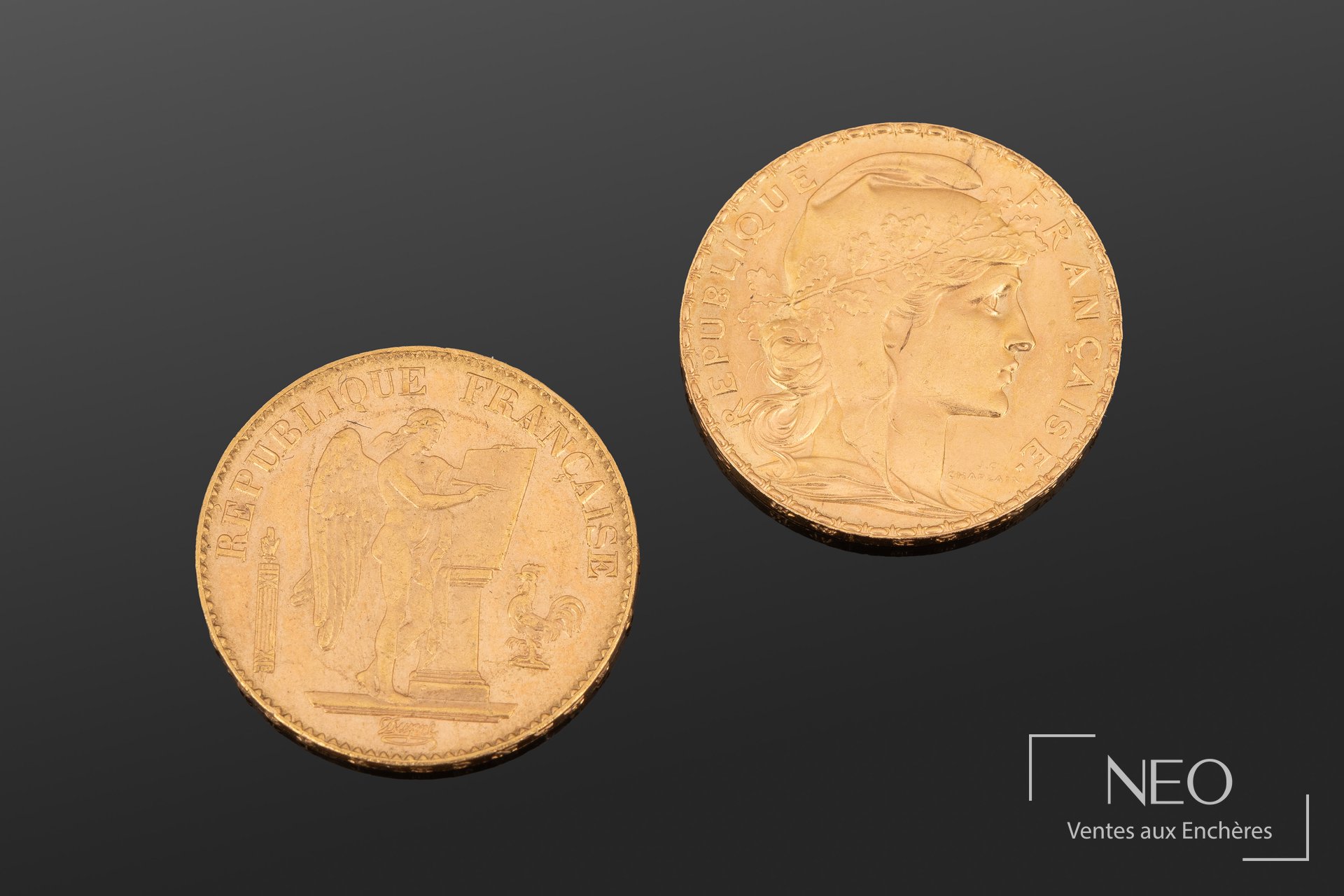 Lot de deux pièces 20 francs or Marianne au coq et Génie