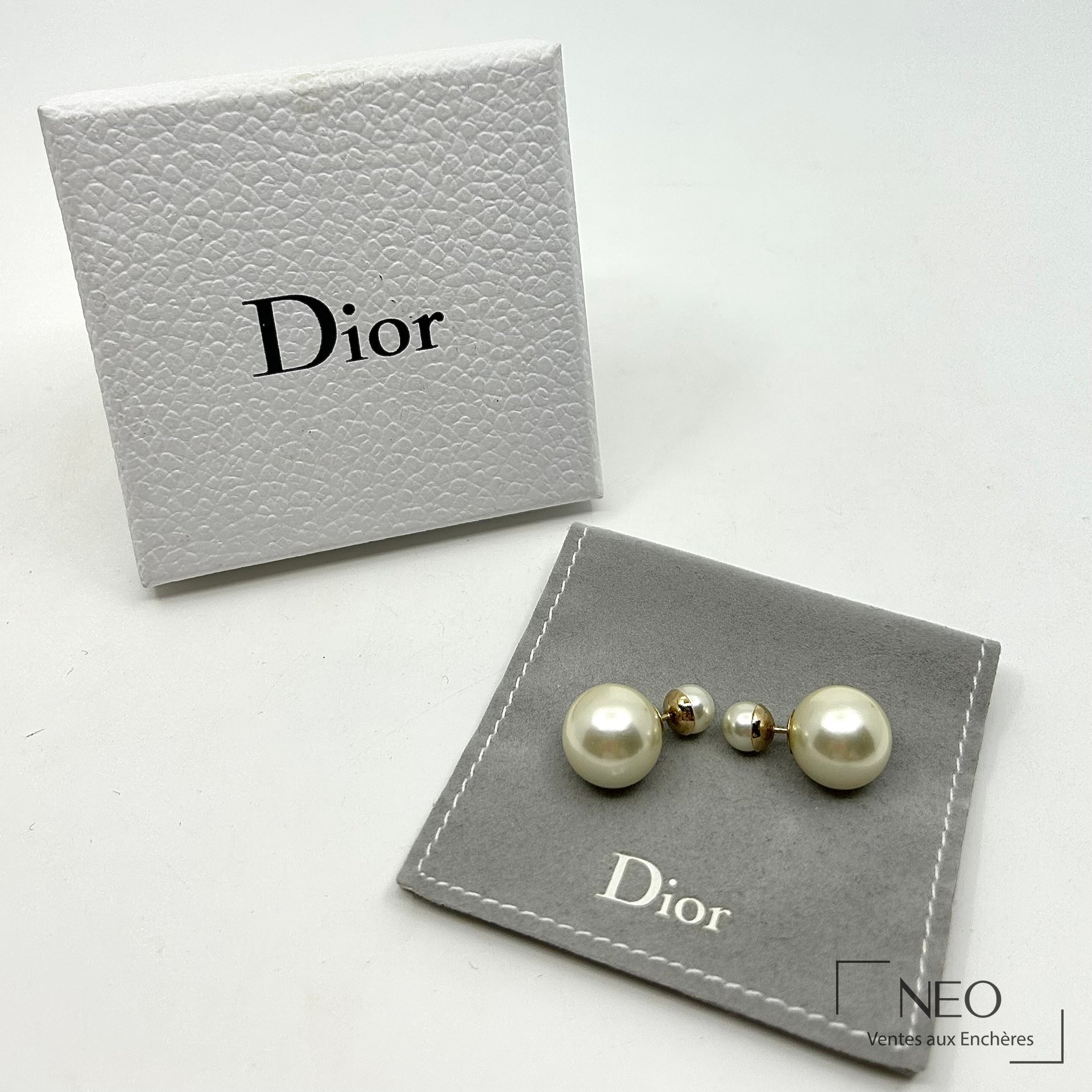 Paire de boucles d'oreilles Dior Tribales avec boîte et pochon gris