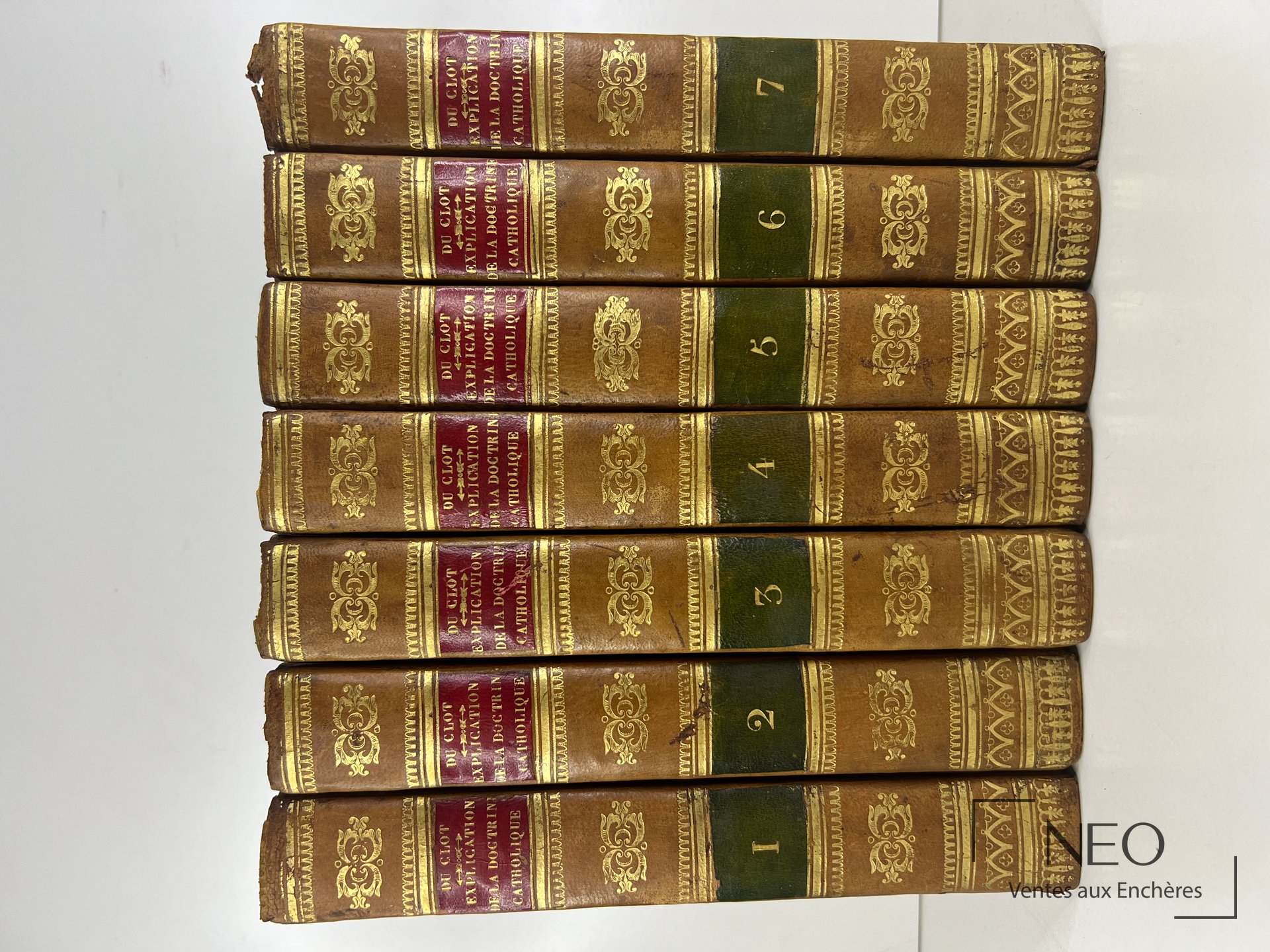 Sept dos de volumes reliés en veau brun avec pièces de titre et tomaisons vertes et grenat