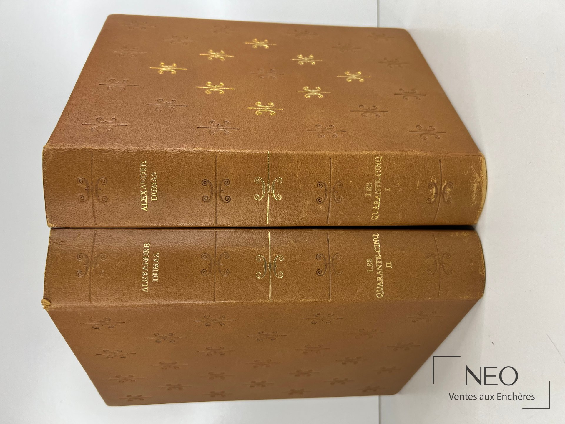 Deux volumes reliés en cuir brun