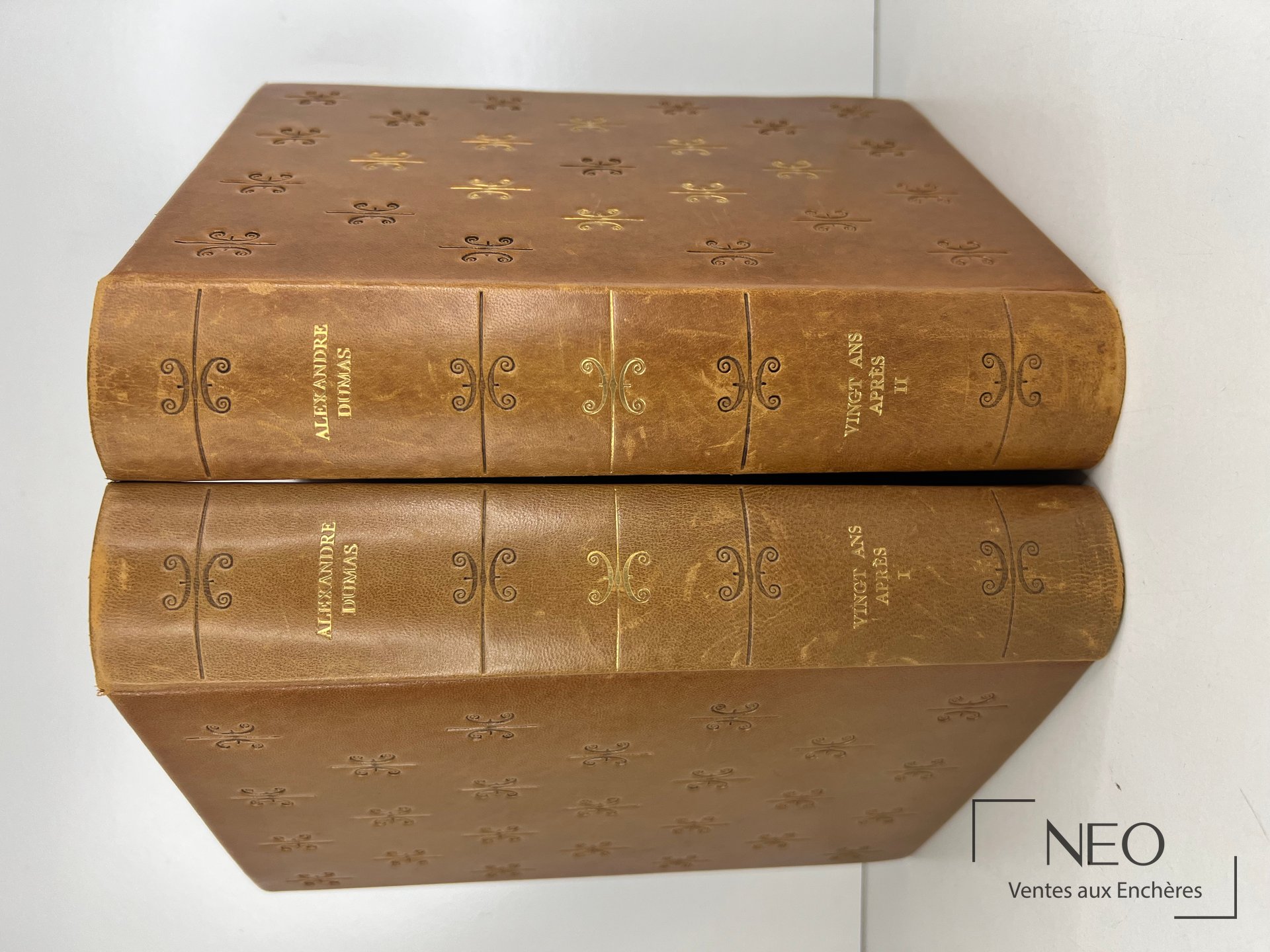 Dos en cuir brun doré de deux volumes Alexandre Dumas