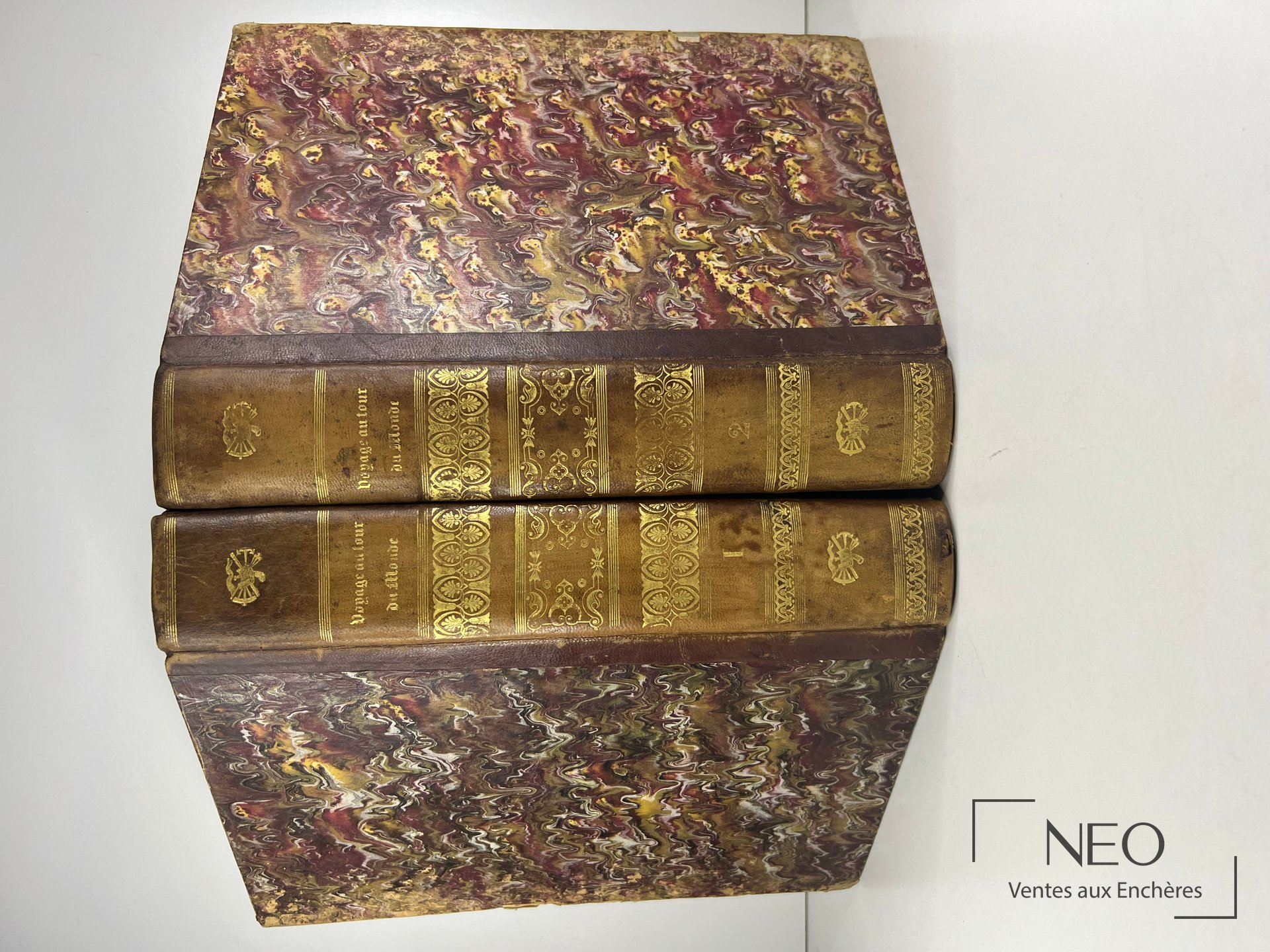 Les deux tomes reliés de Voyage pittoresque autour du Monde