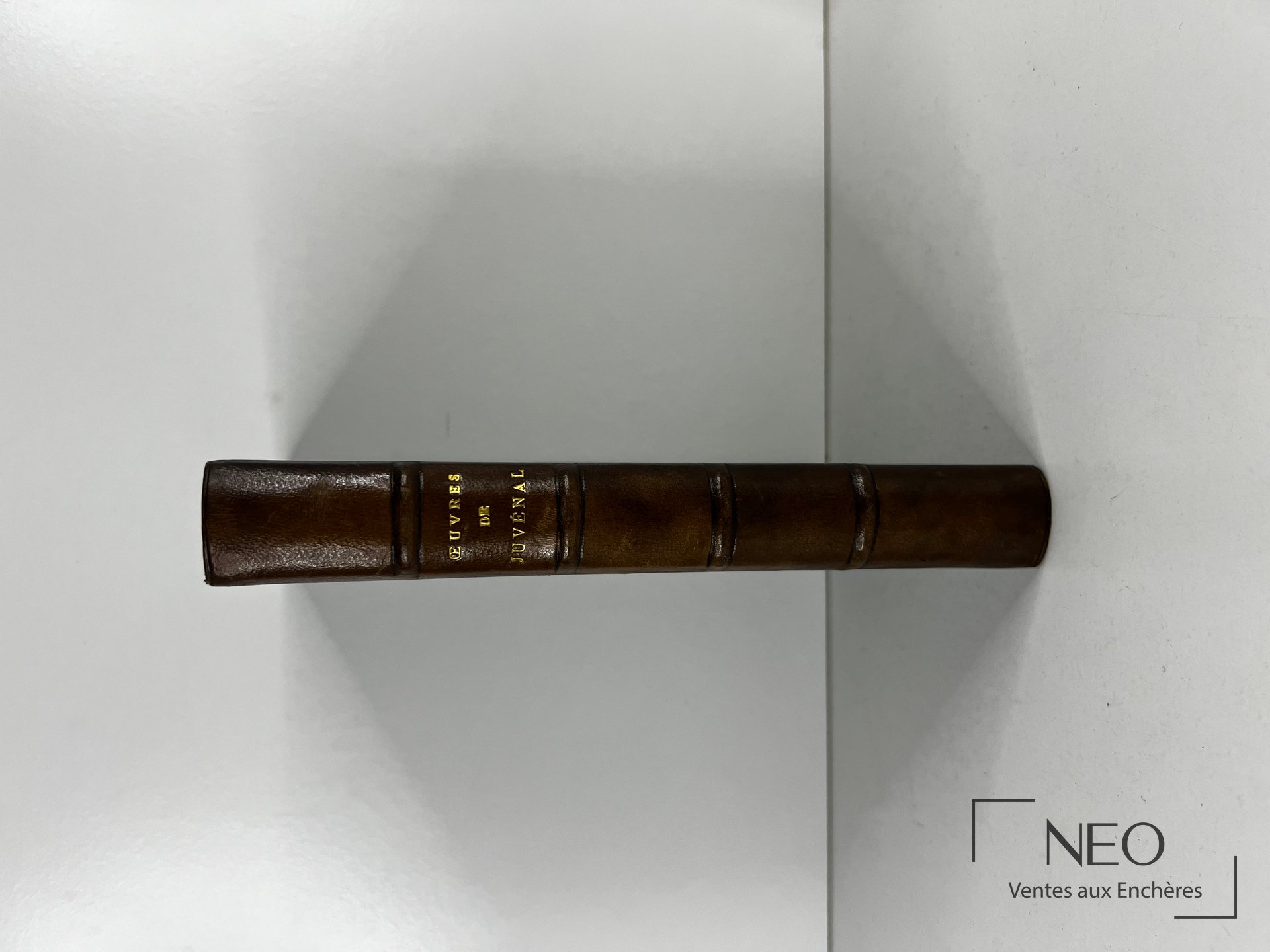Dos d'un livre ancien en demi basane verte avec titre doré