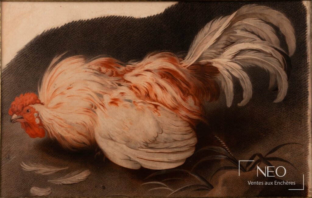 Étude de coqs en sanguine et crayon