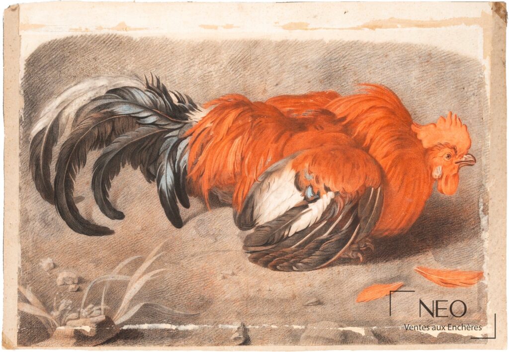 Étude de deux coqs en sanguine