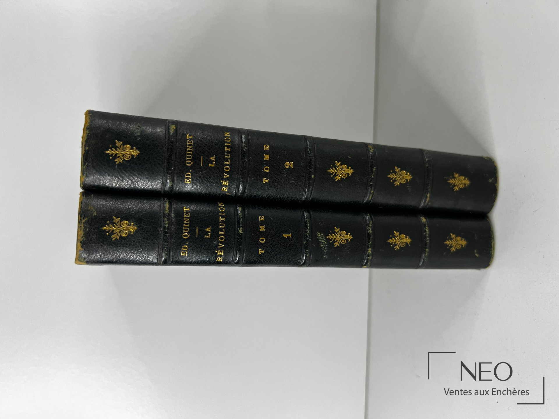Les dos de deux volumes en demi chagrin noir