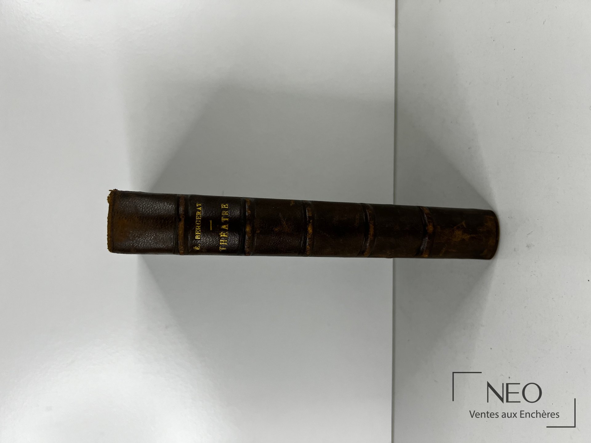 Dos d'un livre en demi basane avec nerfs et titre doré Émile Bergerat