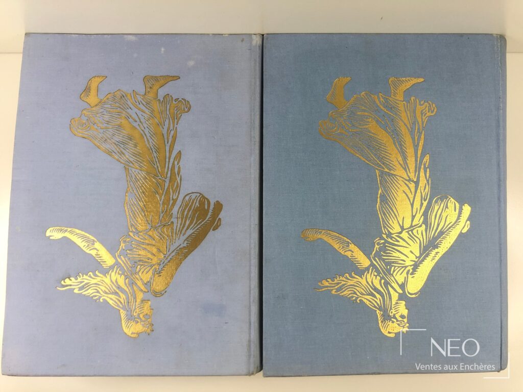 Deux volumes bleus à décor doré sur les plats