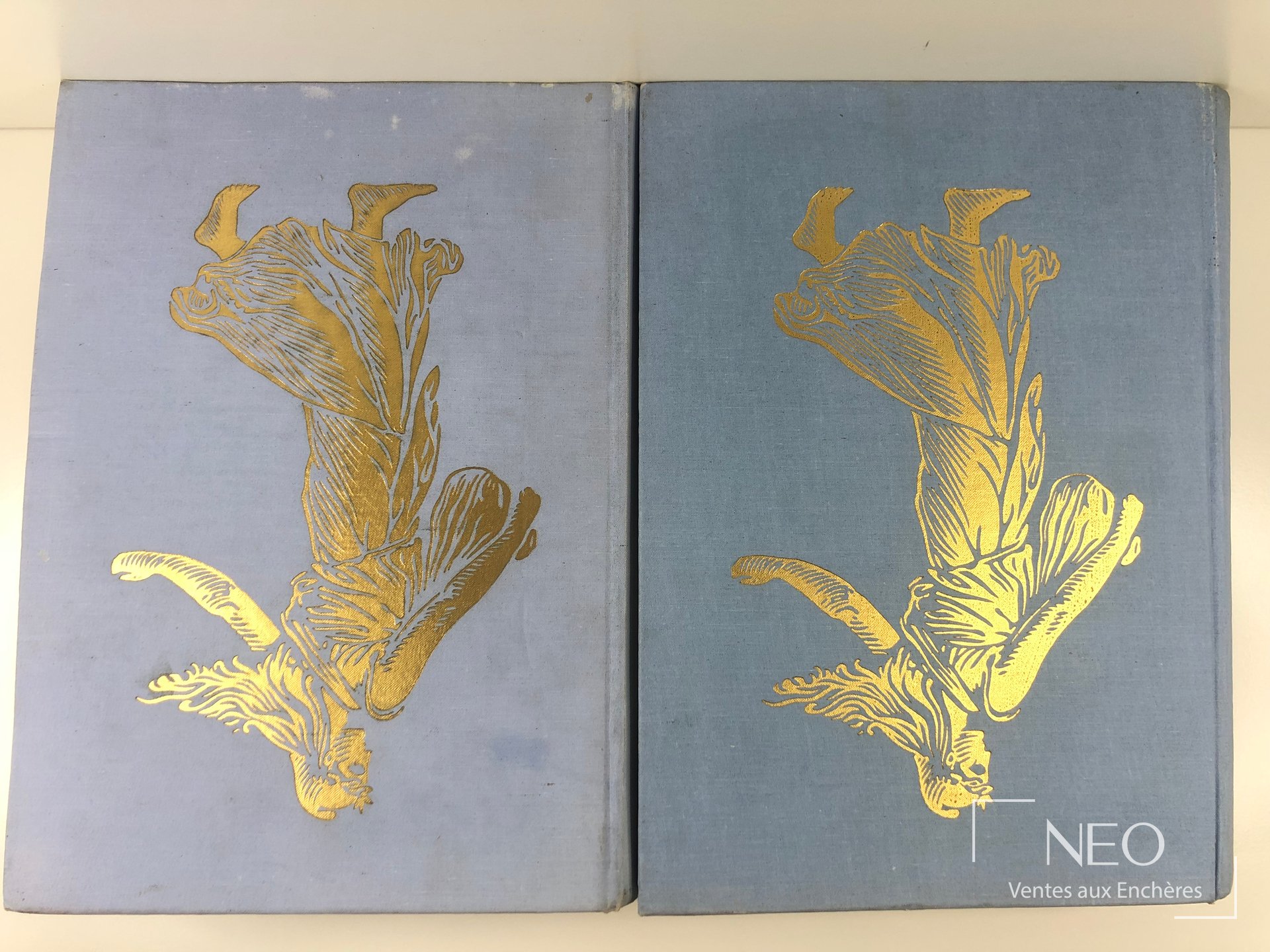 Deux volumes bleus à décor doré sur les plats