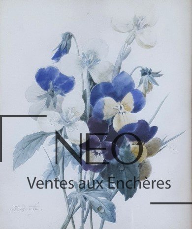 Aquarelle florale de pensées dans son cadre