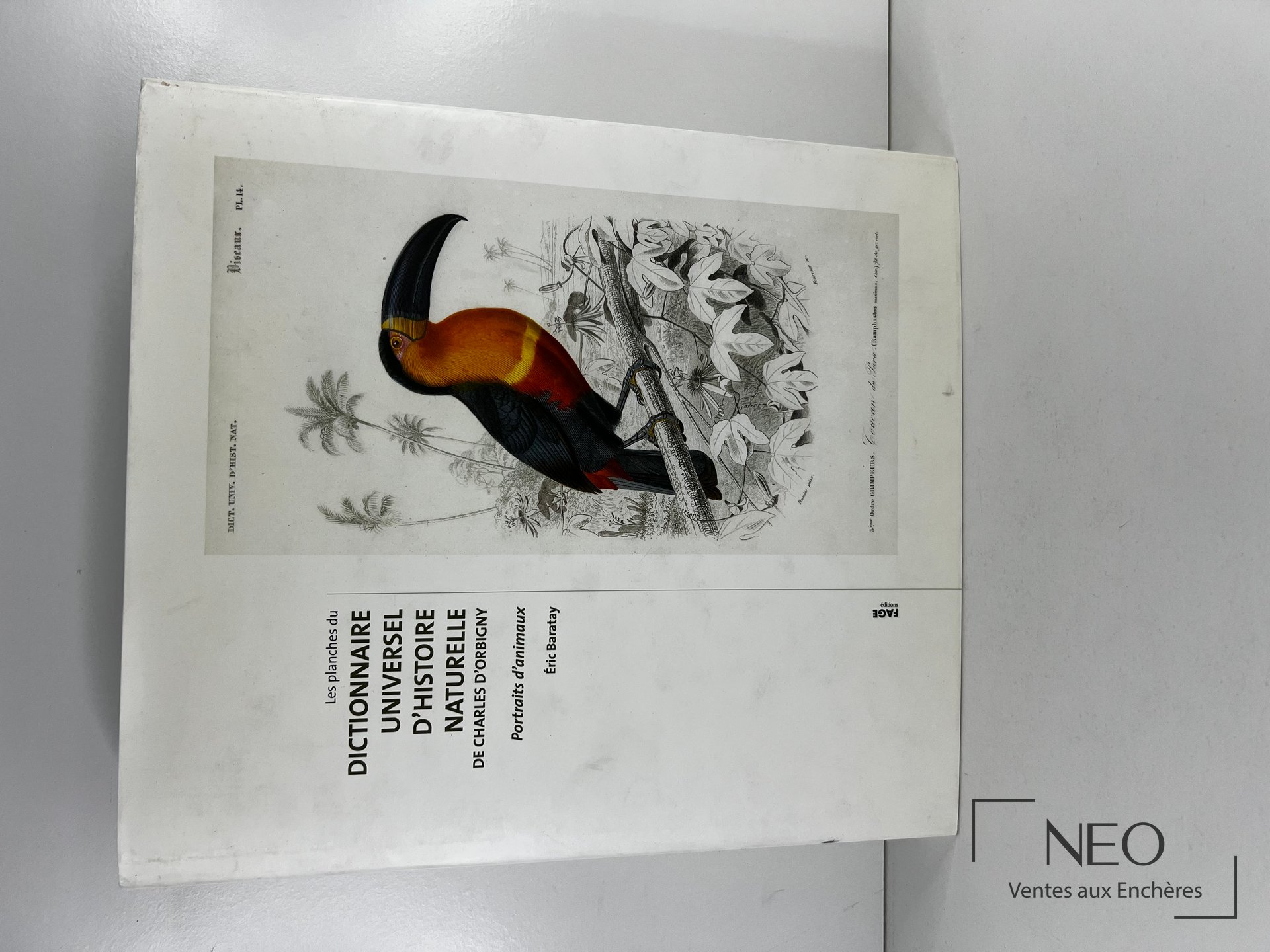 Couverture illustrée du livre d’Éric Baratay consacré aux portraits d’animaux