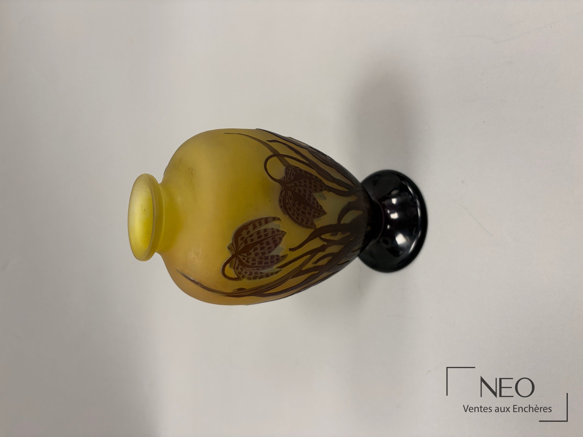 Établissements Gallé Vase en verre multicouche à décor gravé en camée