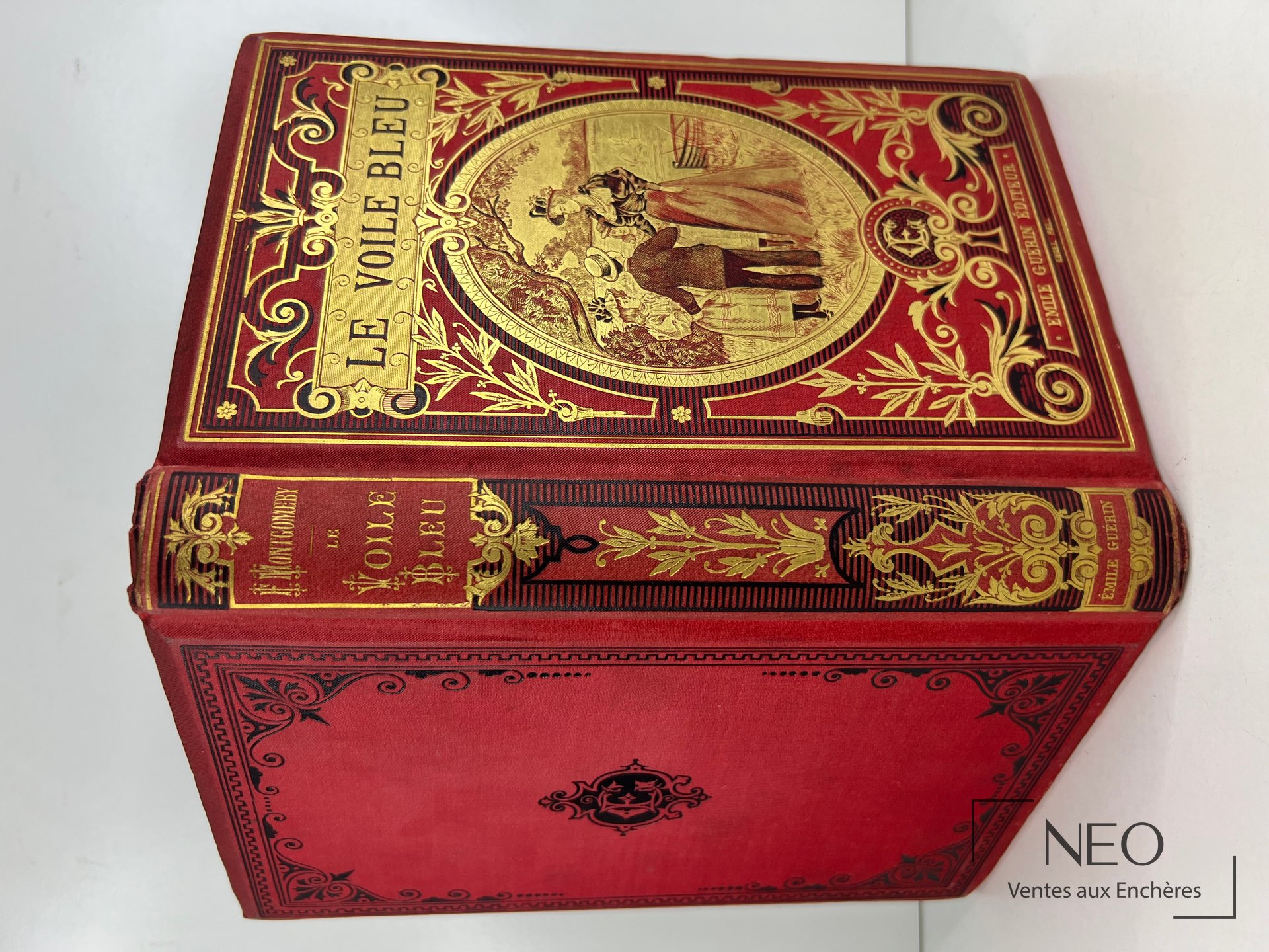 Livre relié rouge avec décor doré et dos orné visible