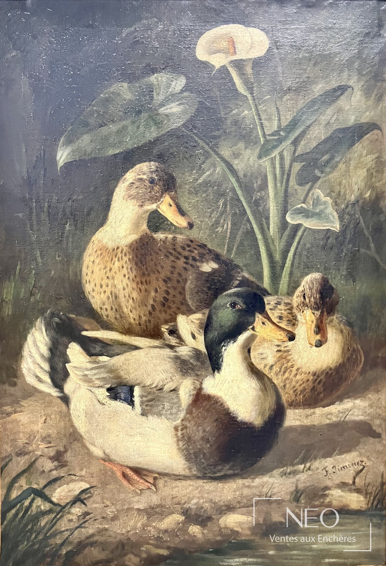 Huile sur toile représentant quatre canards dans un décor végétal sombre