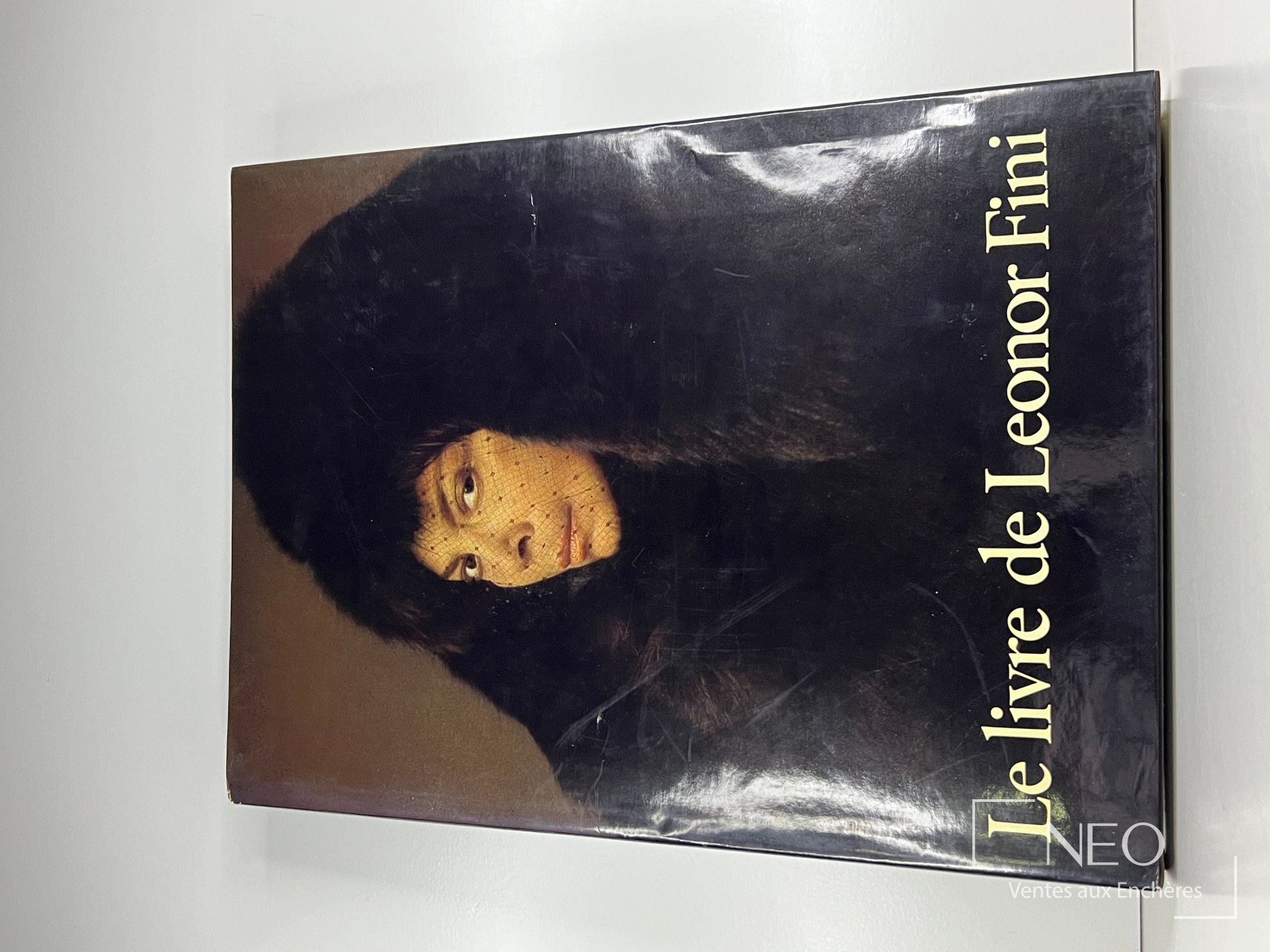 Couverture illustrée du livre Le livre de Leonor Fini