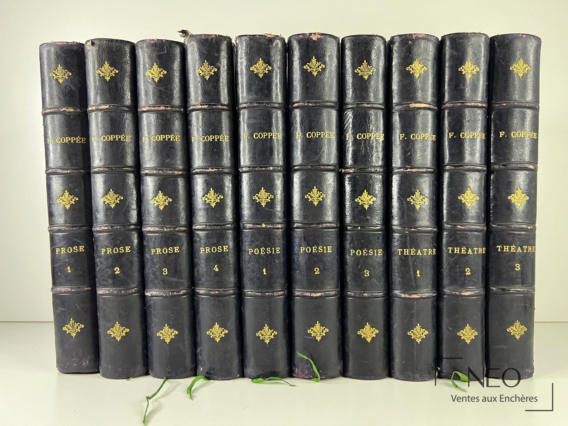 Les dix volumes reliés des œuvres complètes de François Coppée alignés de face.