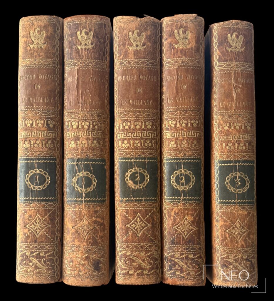 Cinq dos de volumes reliés en basane marbrée