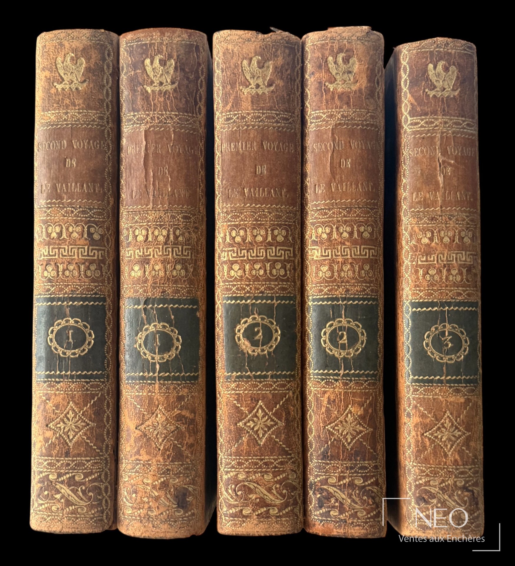 Cinq dos de volumes reliés en basane marbrée