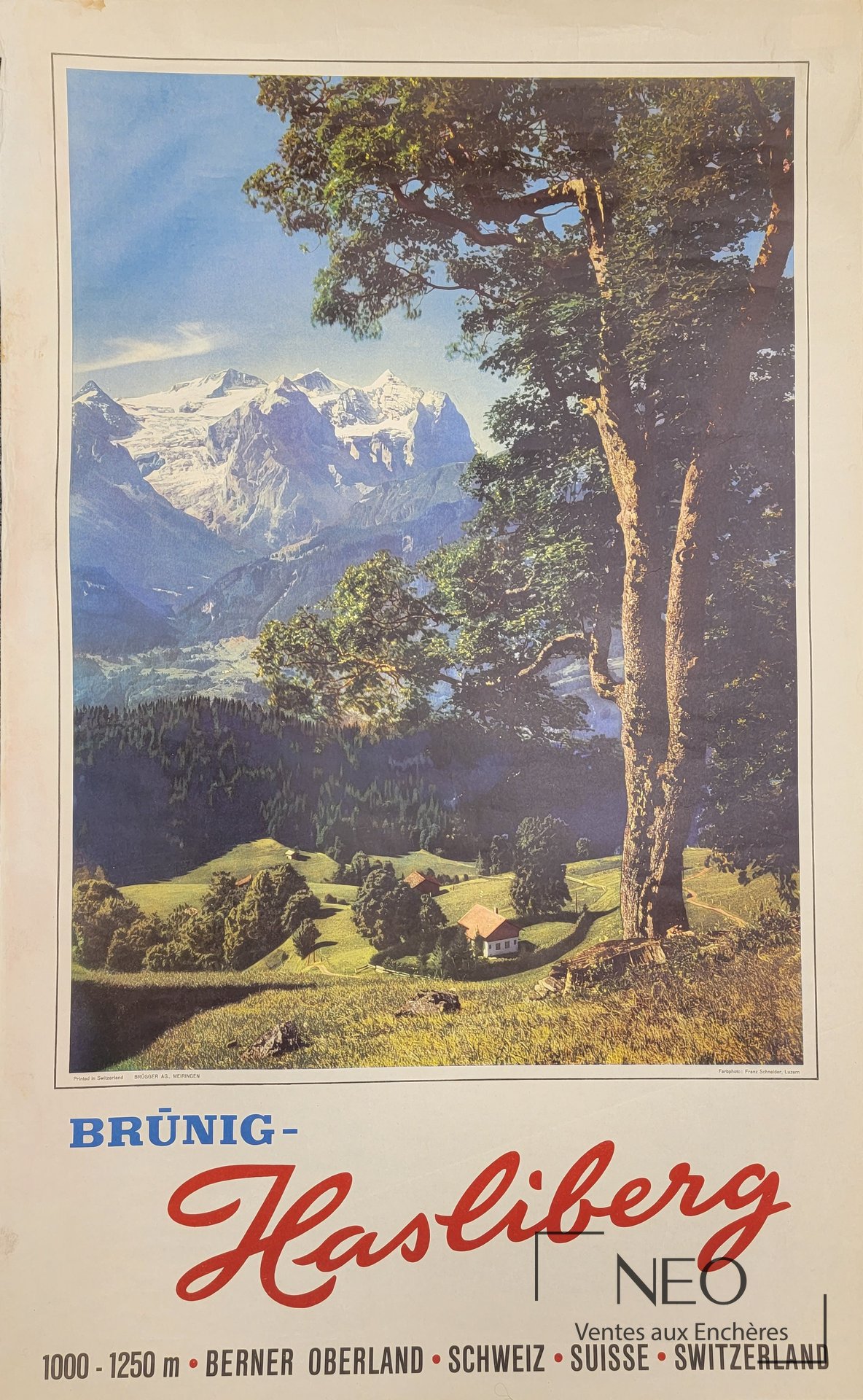 Affiche de paysage alpin avec montagnes enneigées et grand arbre au premier plan