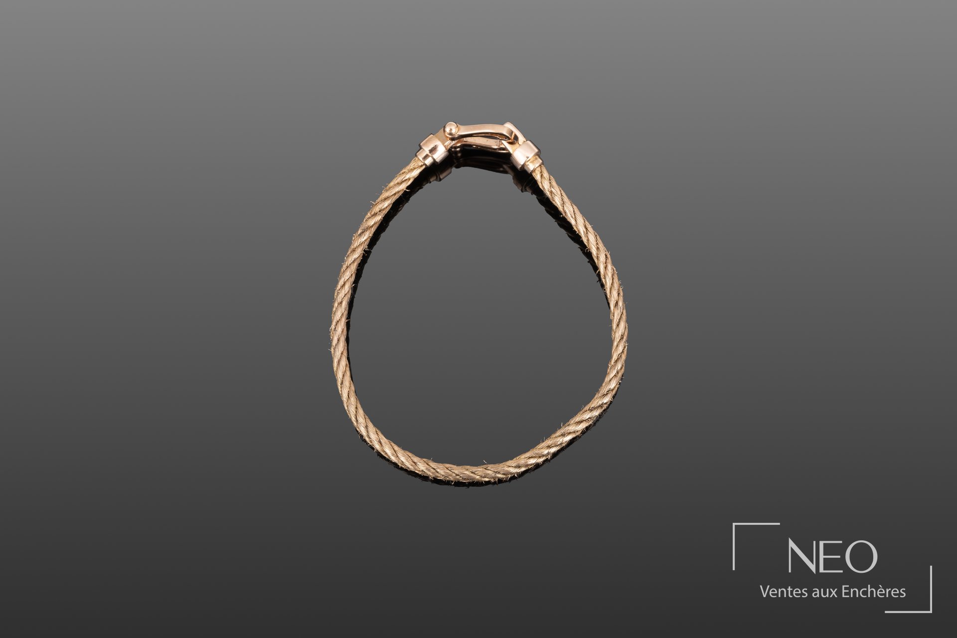 Bracelet FRED Force 10 en or rose sur fond gris