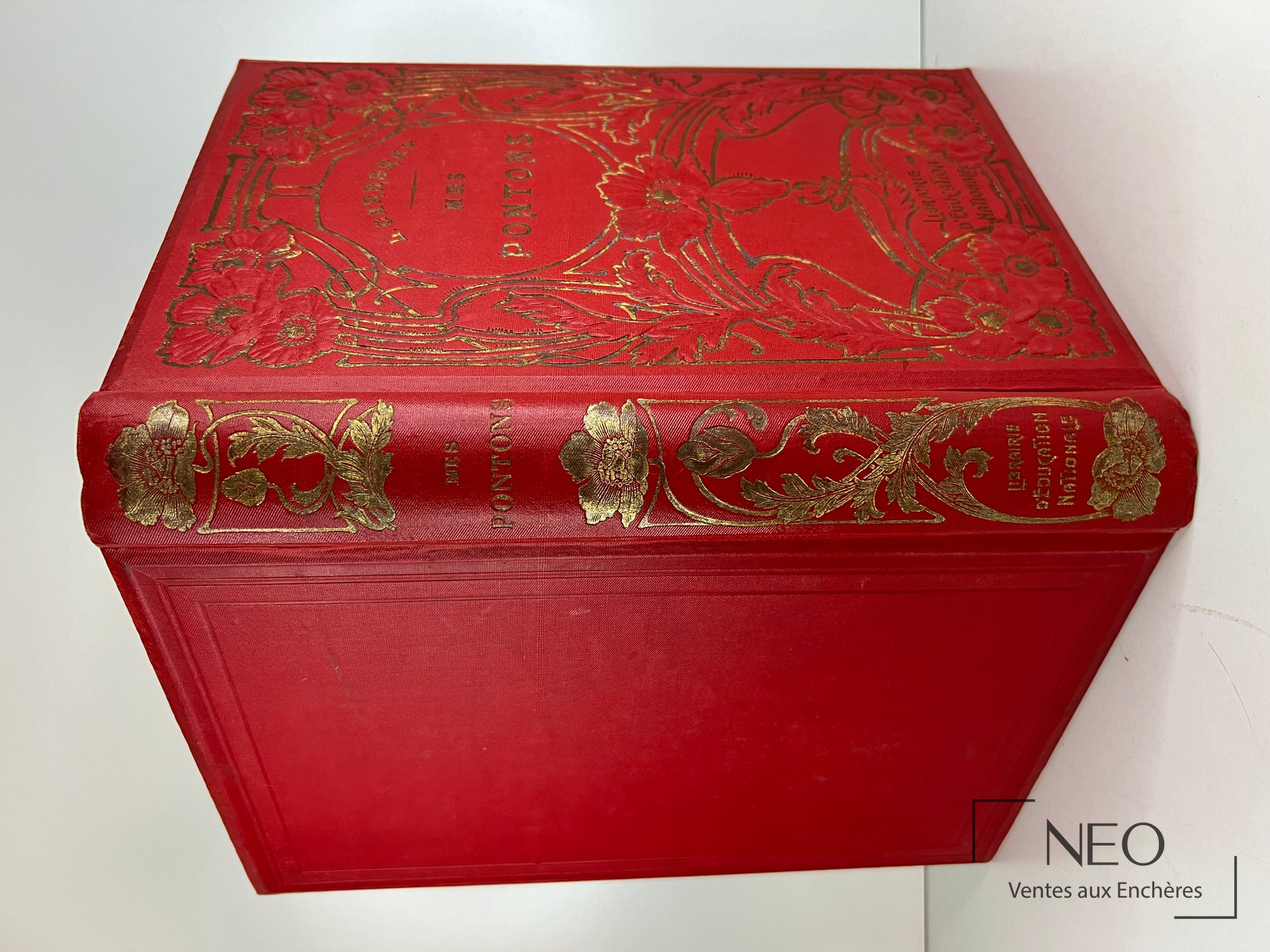 Couverture rigide rouge ornée de décors dorés et titre Mes Pontons