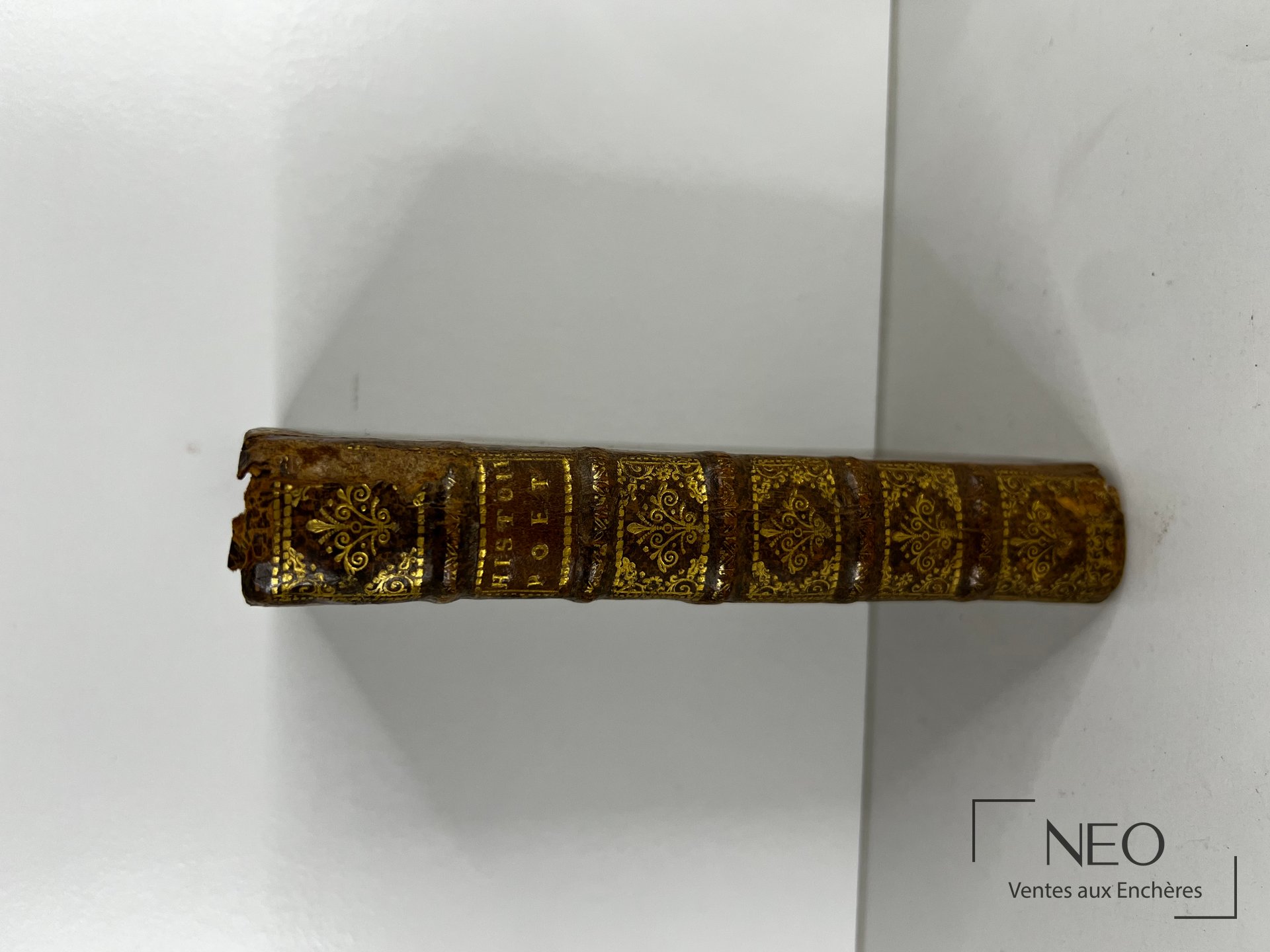 Dos d'un livre ancien en demi basane avec titre doré et caissons ornés.