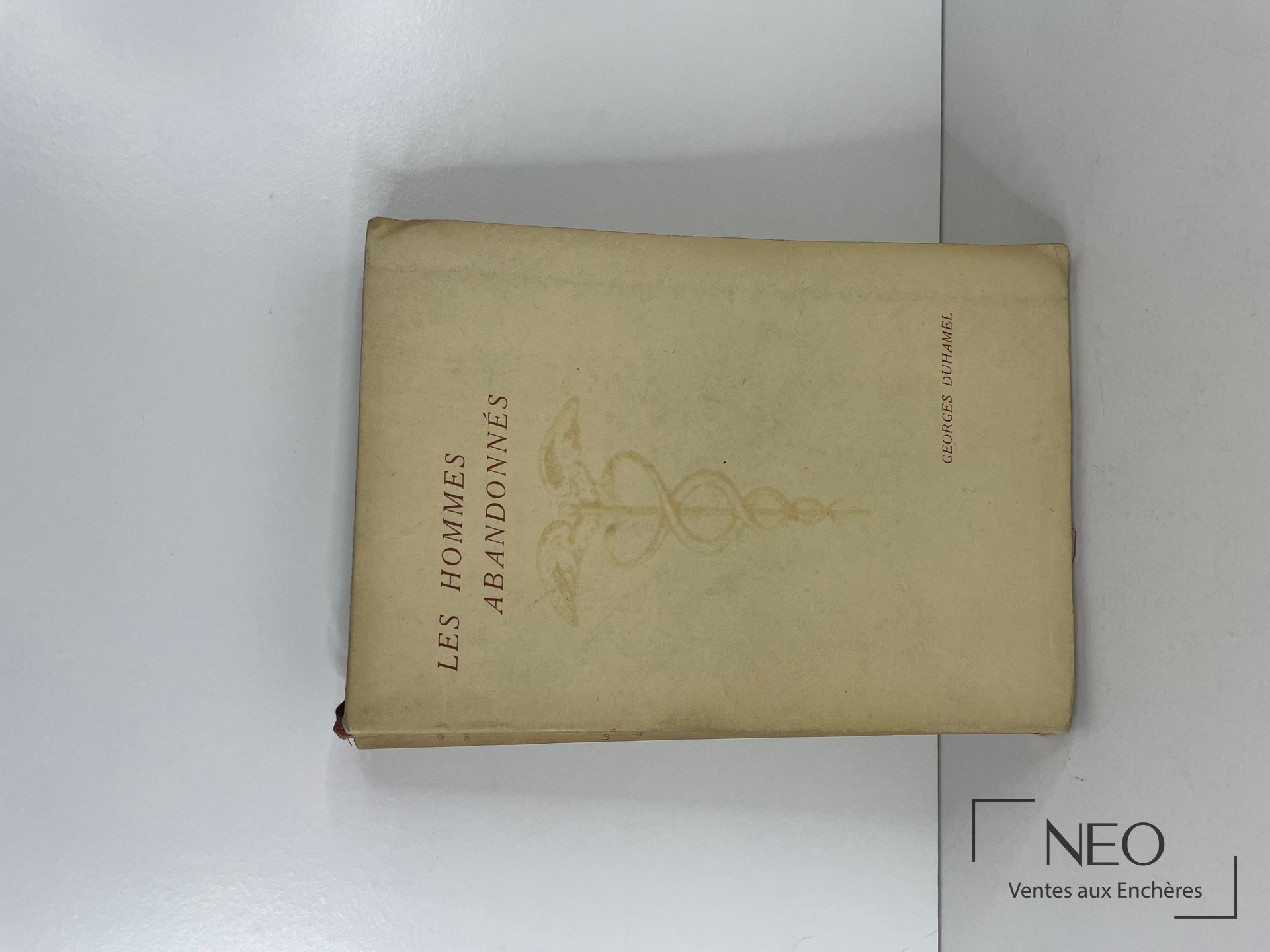 Couverture beige du livre Les hommes abandonnés de Georges Duhamel