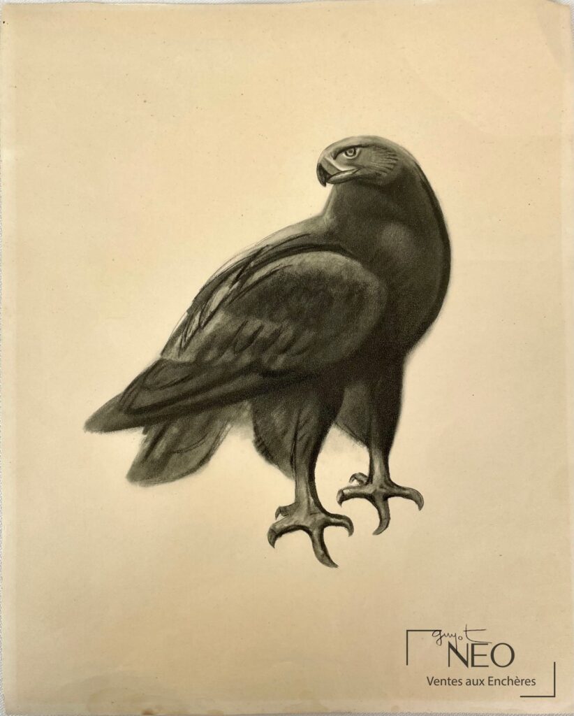 Aigle royal en impression sur papier