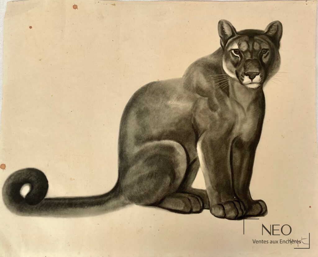 Puma représenté de face en impression sur papier