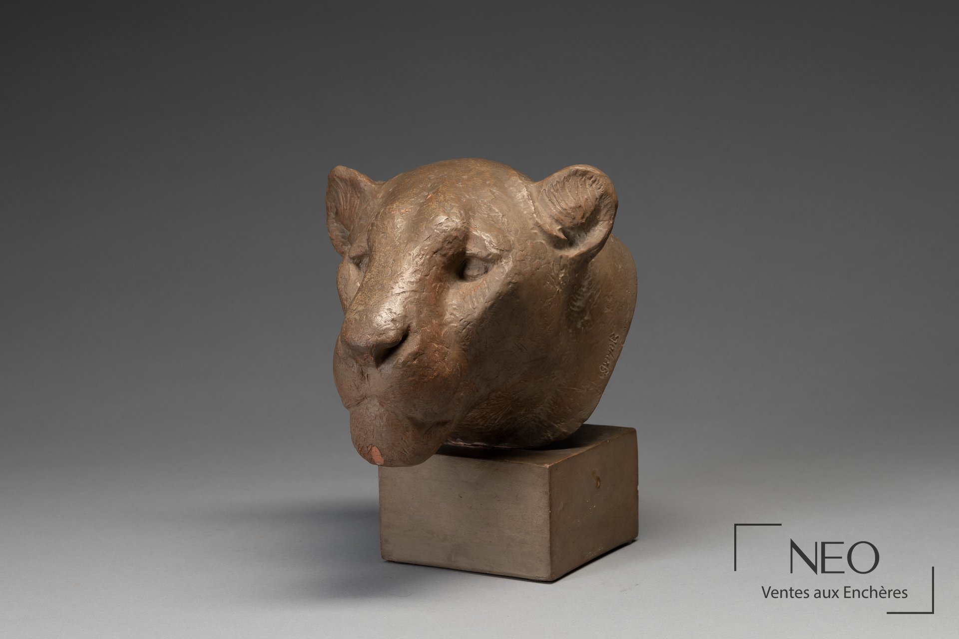 Tête de lionne en terre cuite à patine beige sur socle cubique