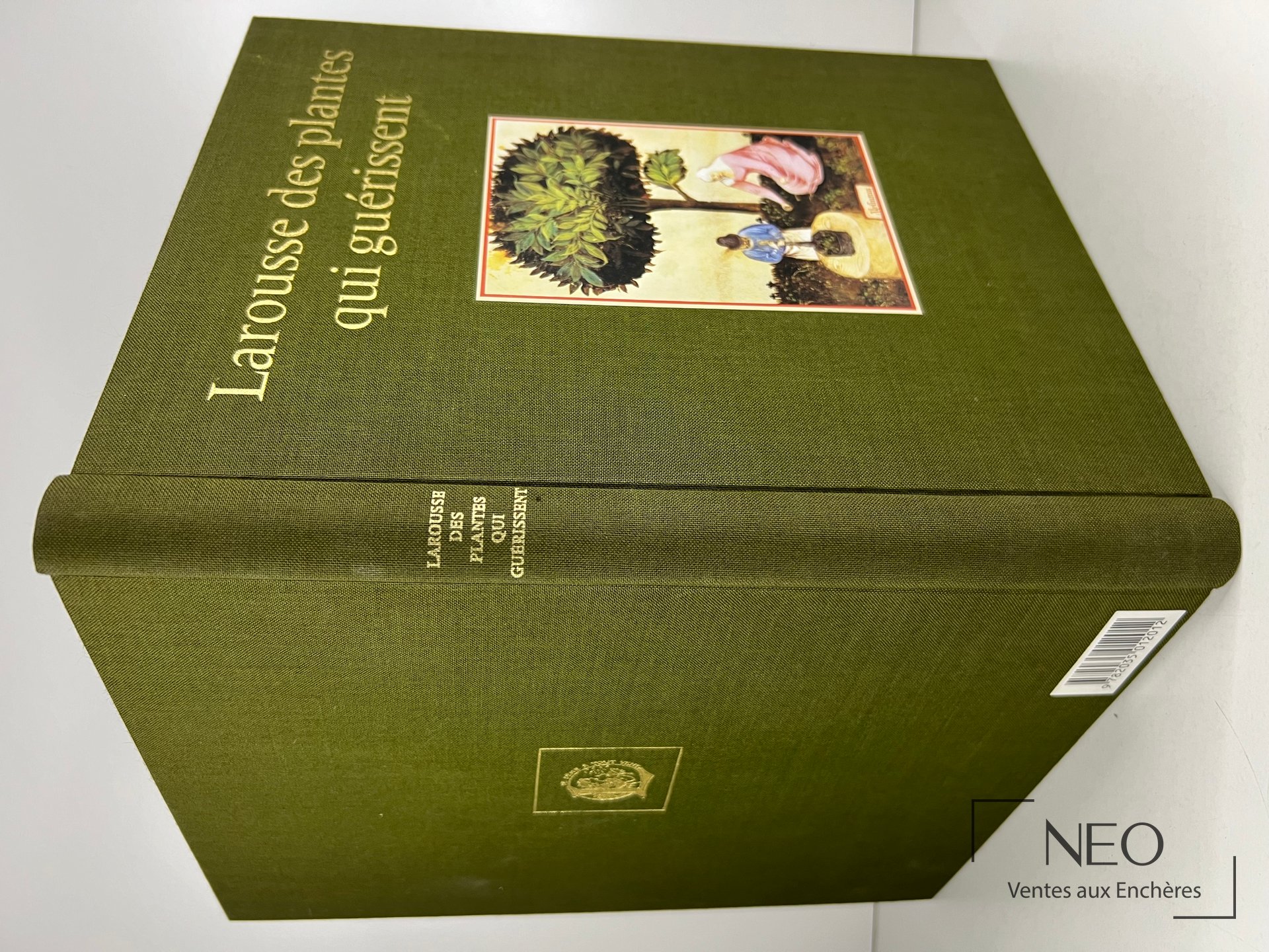 Couverture verte illustrée du livre Larousse des plantes qui guérissent de Gérard Debuigne