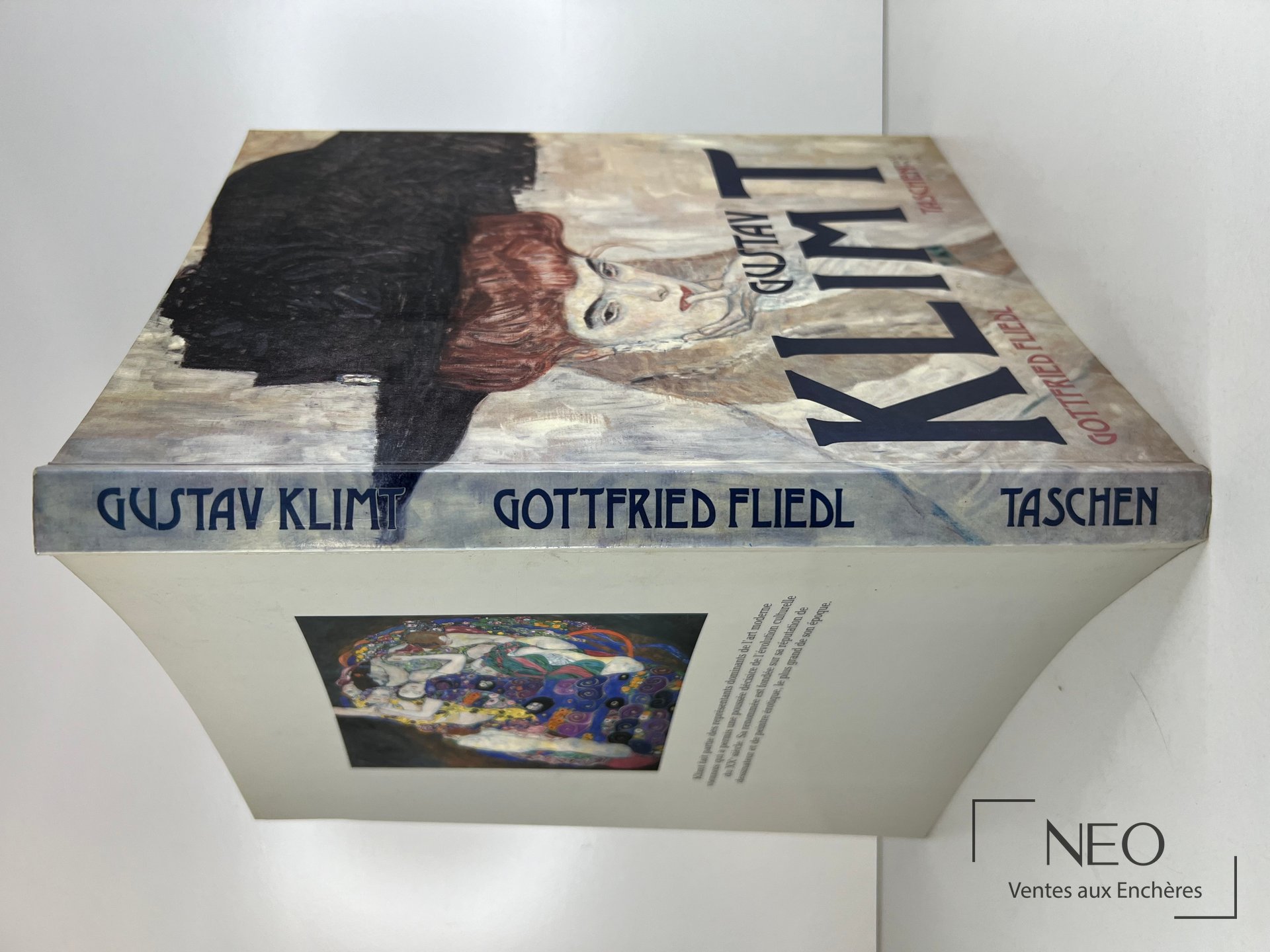 Couverture illustrée du livre Gustav Klimt de Gottfried Fliedl
