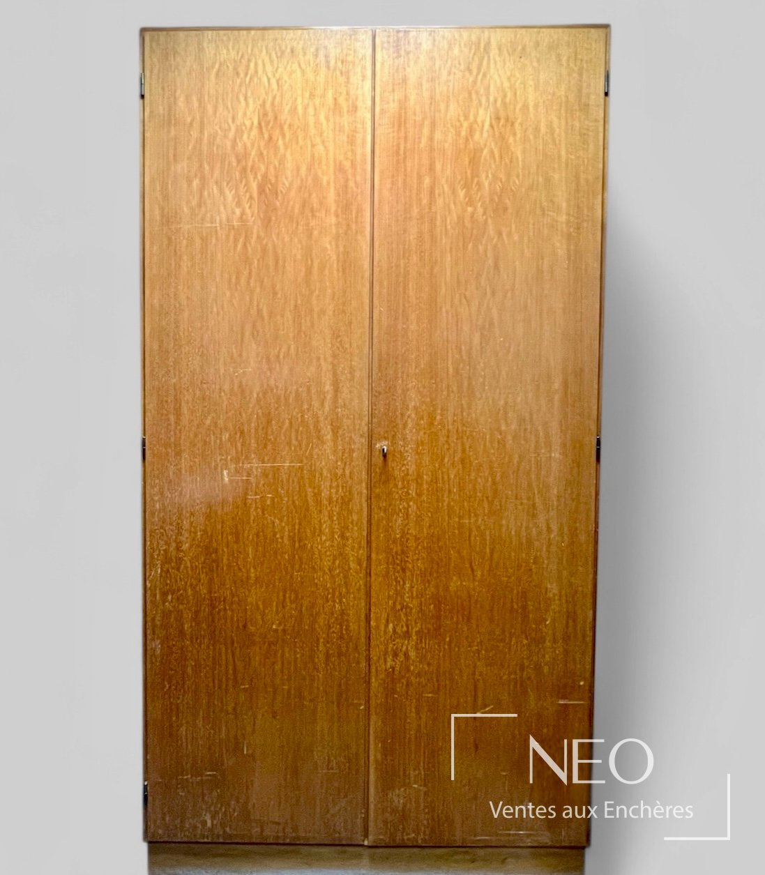 Grande armoire de rangement pour boîtes avec rangements sur roulettes