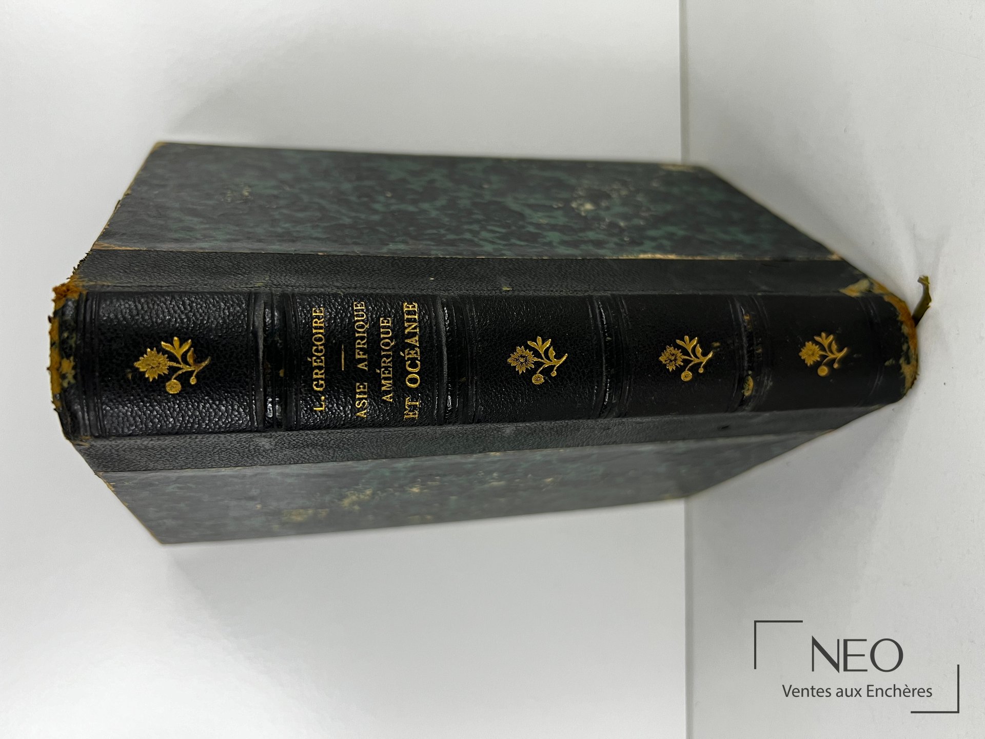 Dos d'un livre relié en demi chagrin vert avec titres dorés et fleurons