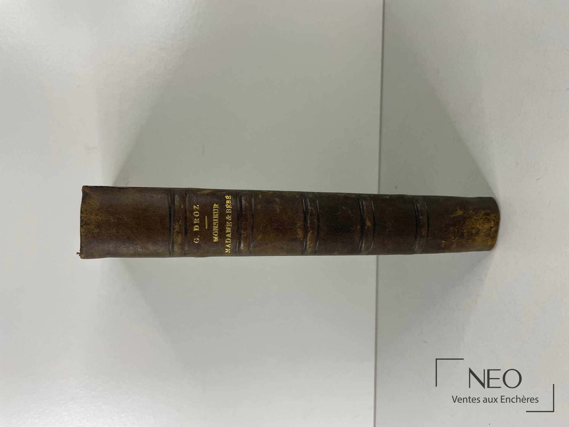 Dos d'un livre relié en demi chagrin brun avec titres dorés et nerfs apparents.