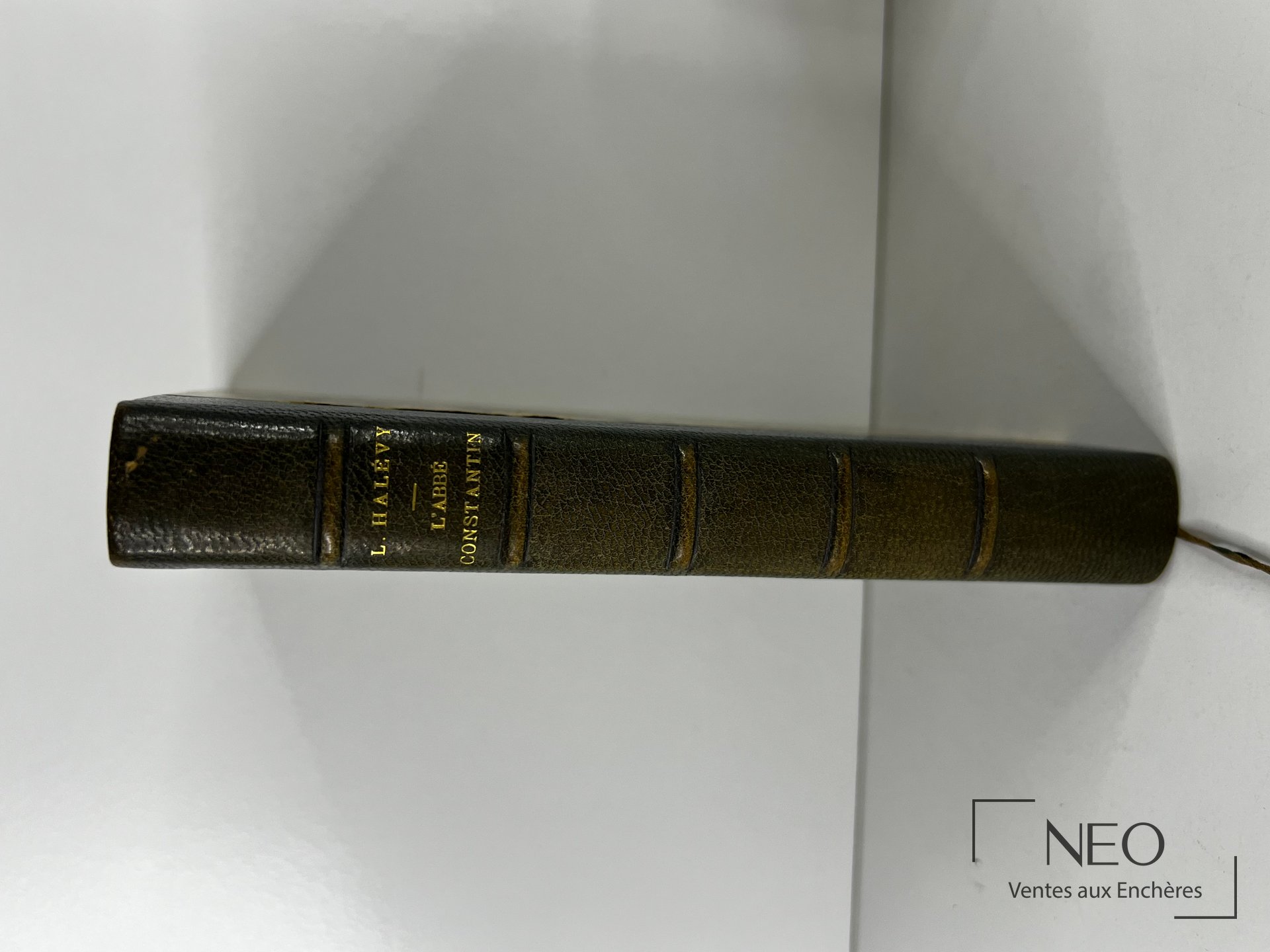Dos en demi chagrin bleu avec titre doré sur des nerfs.