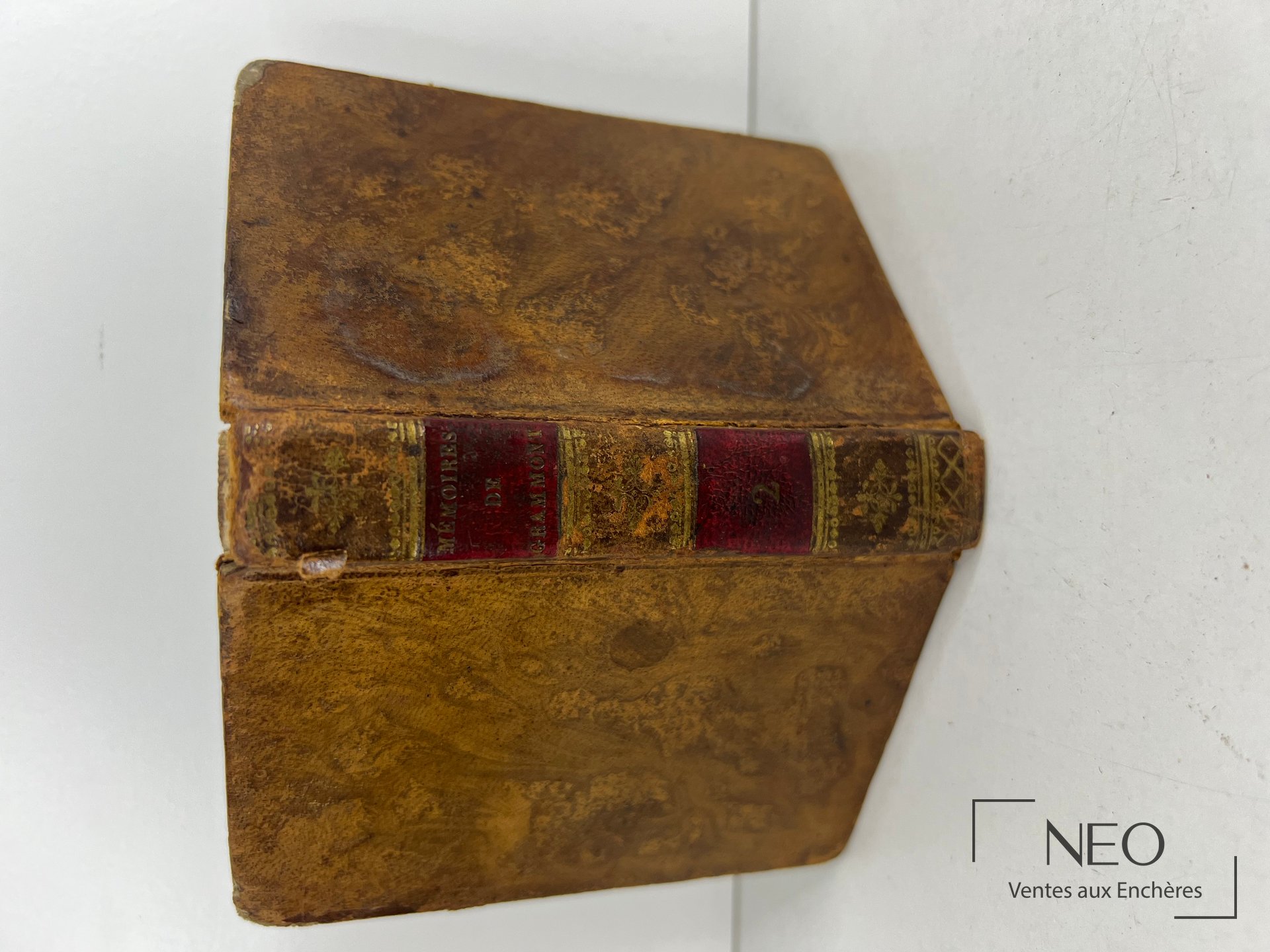 Dos d'un livre ancien en veau avec décor doré et pièce de titre rouge