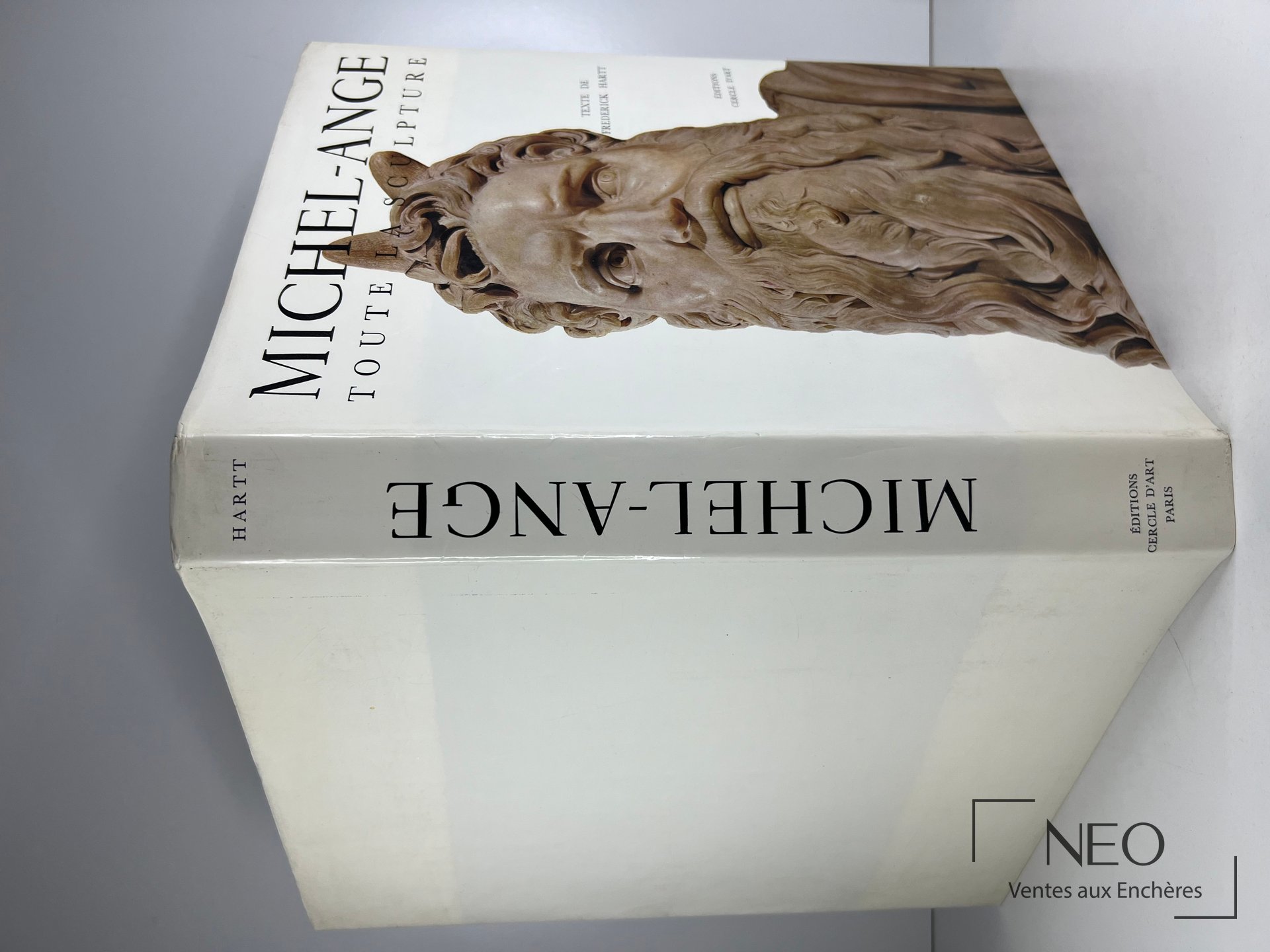 Couverture illustrée du livre Michel Ange. Toute la Sculpture de Fréderick Hartt