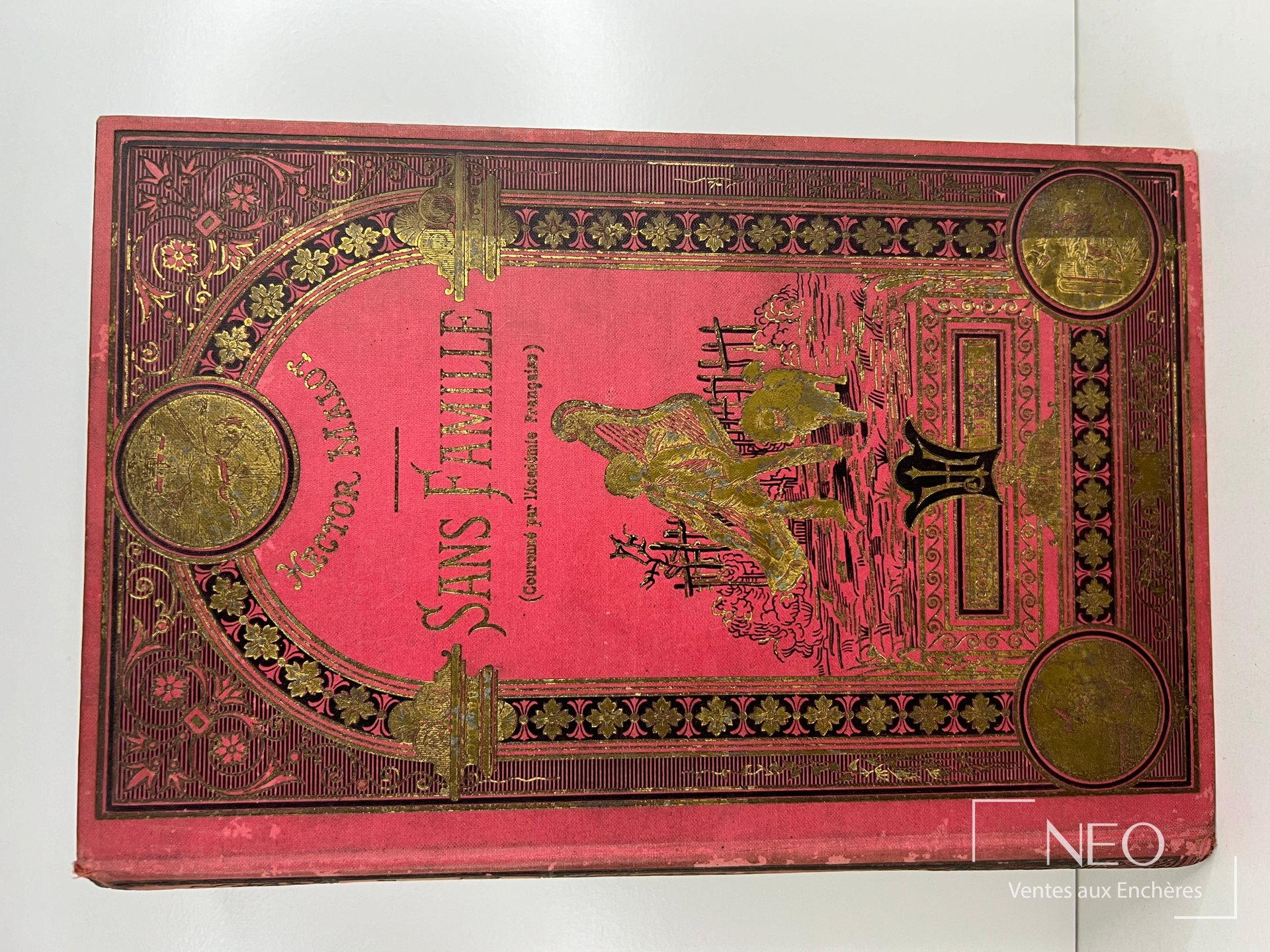 Couverture rigide rose et noire dorée de Sans Famille de Hector Malot