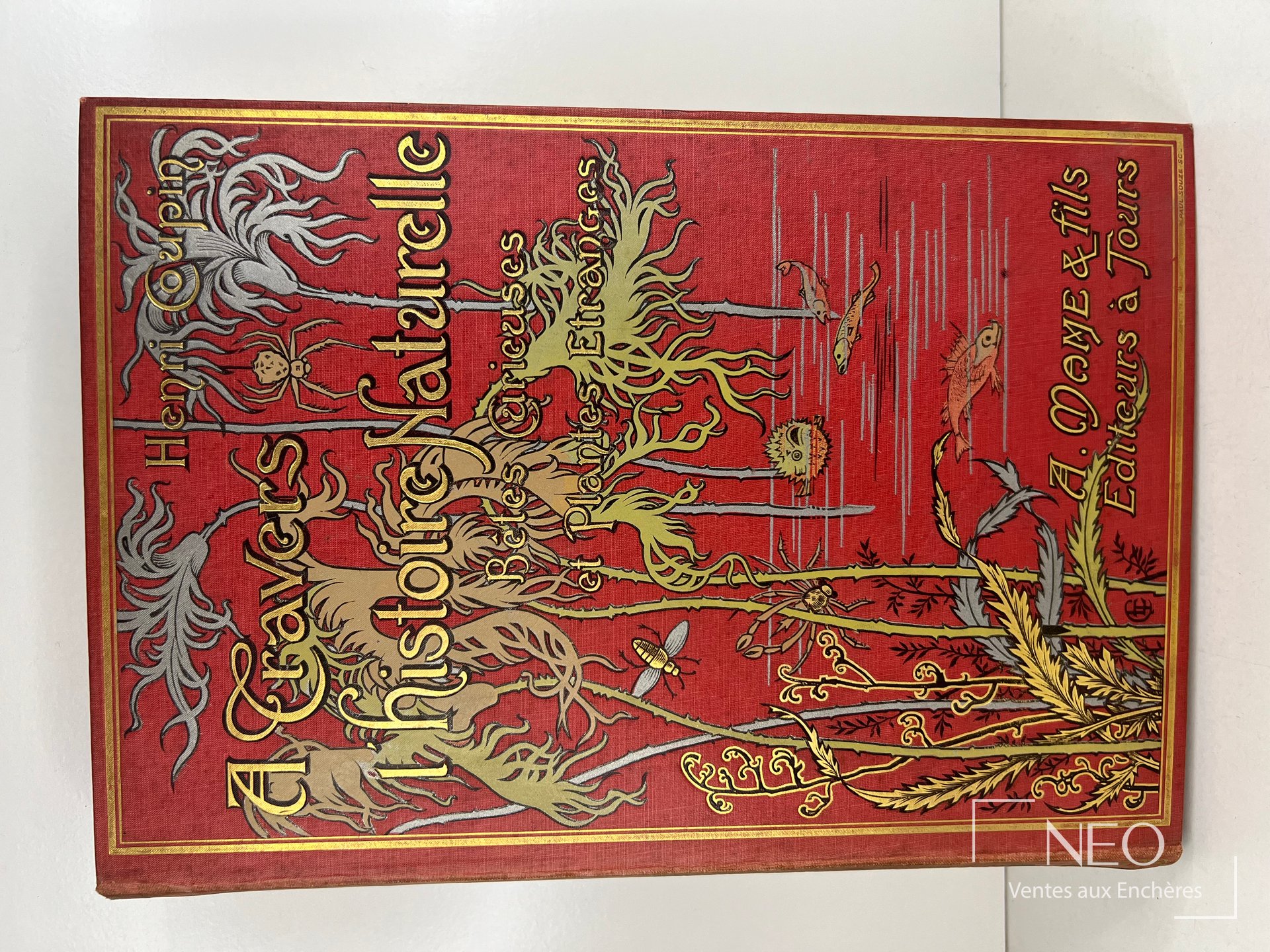 Couverture rouge illustrée du livre Henri Coupin