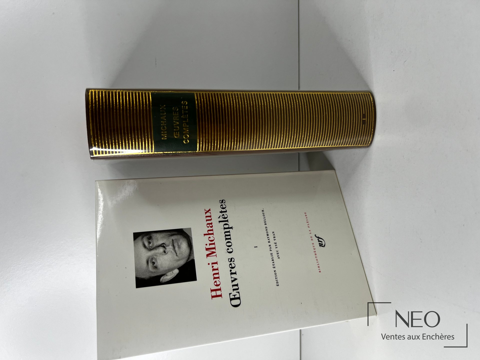 Dos et couverture de l’ouvrage Henri Michaux Oeuvres Complètes Tome 1