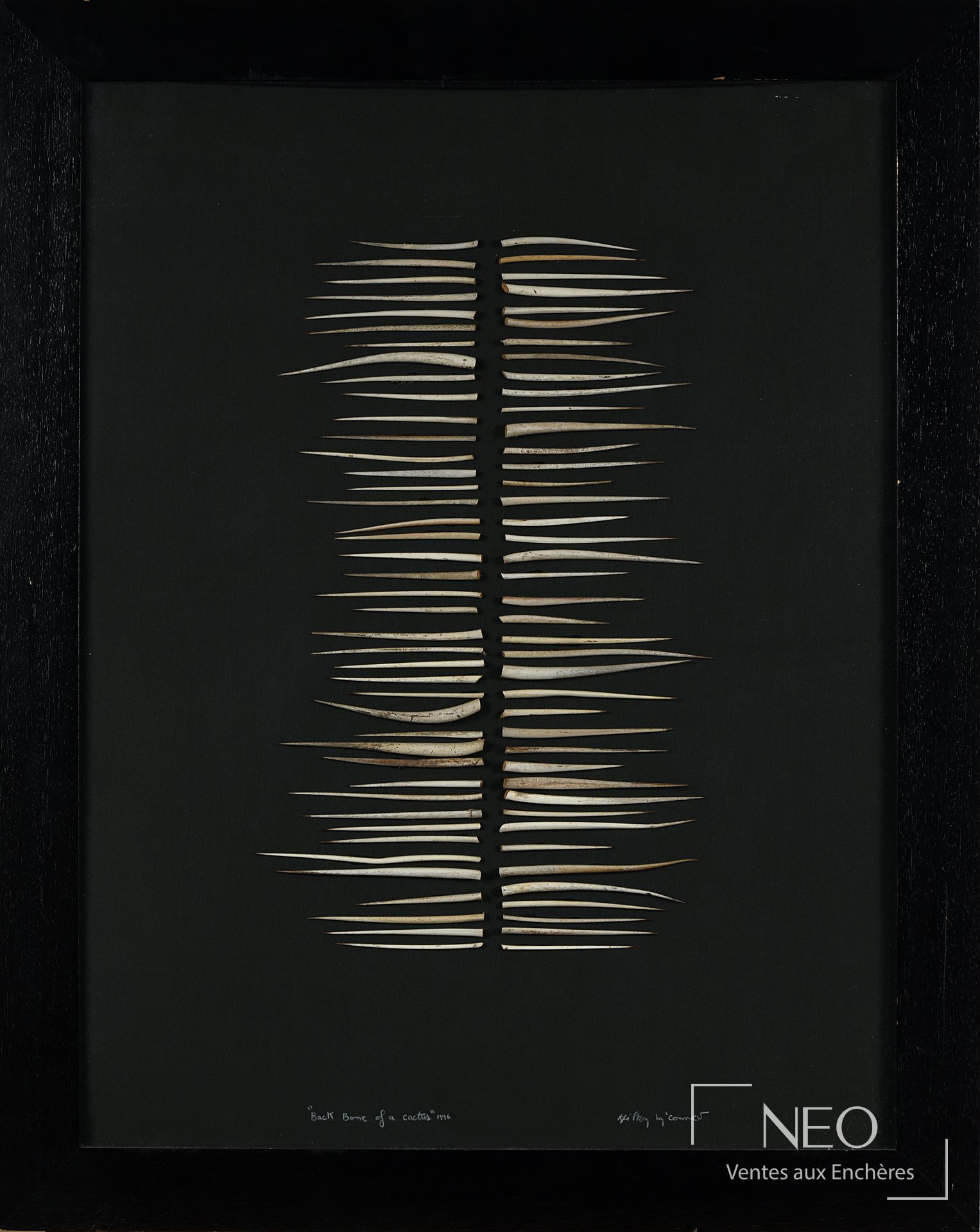 Collage de cactus sur papier noir sous cadre noir