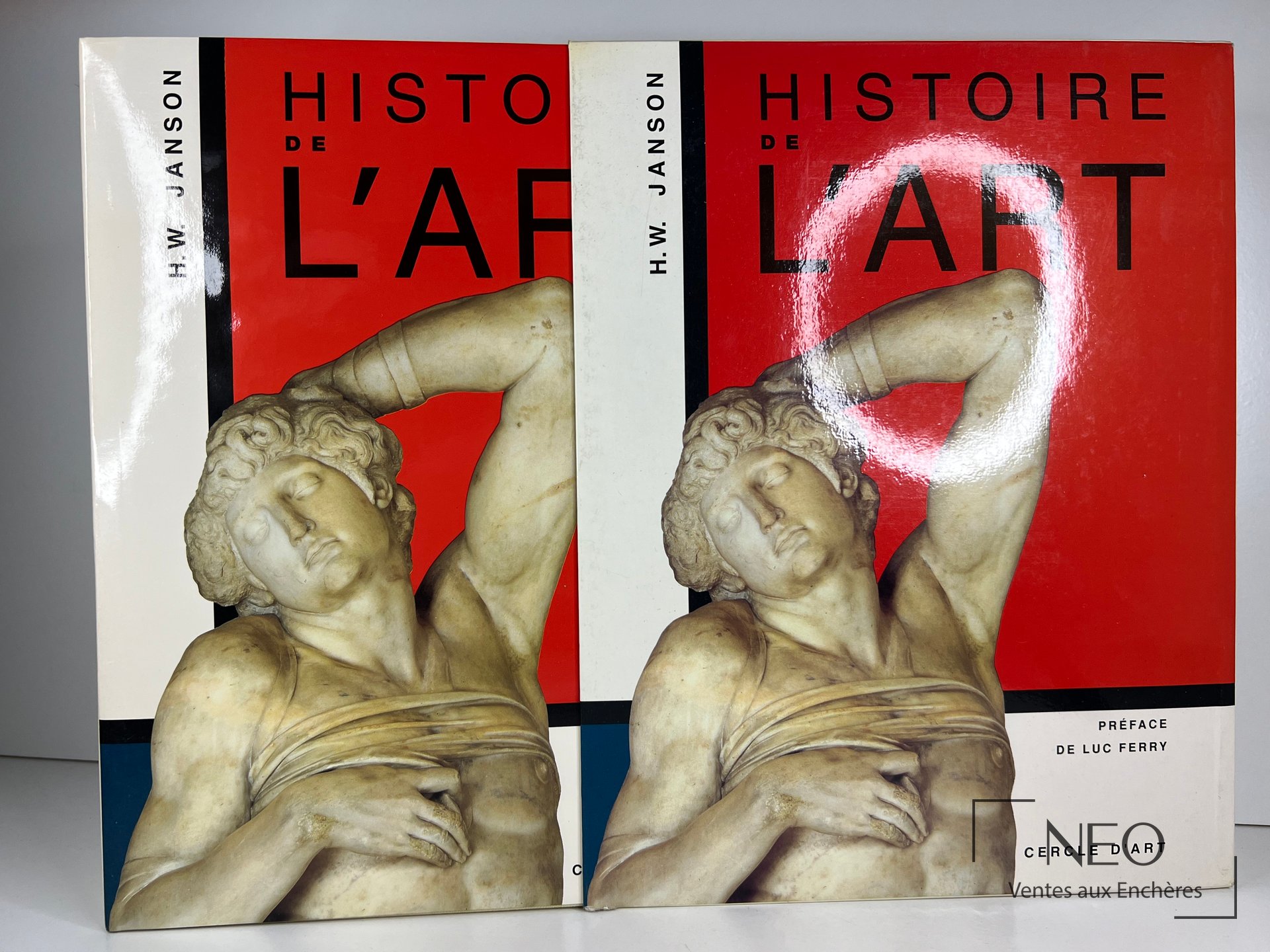 Couverture illustrée du livre Histoire de l'art de H.-W. Janson