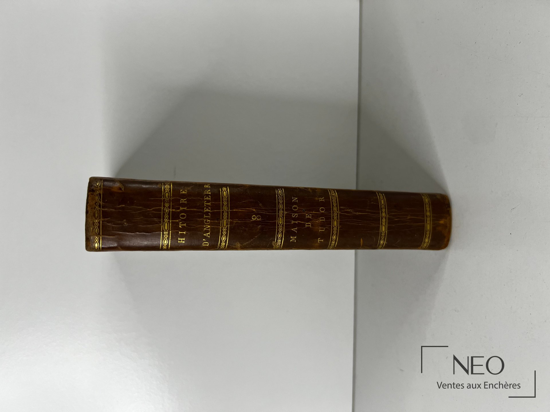 Dos d'un livre ancien en basane brune avec titres dorés et faux nerfs