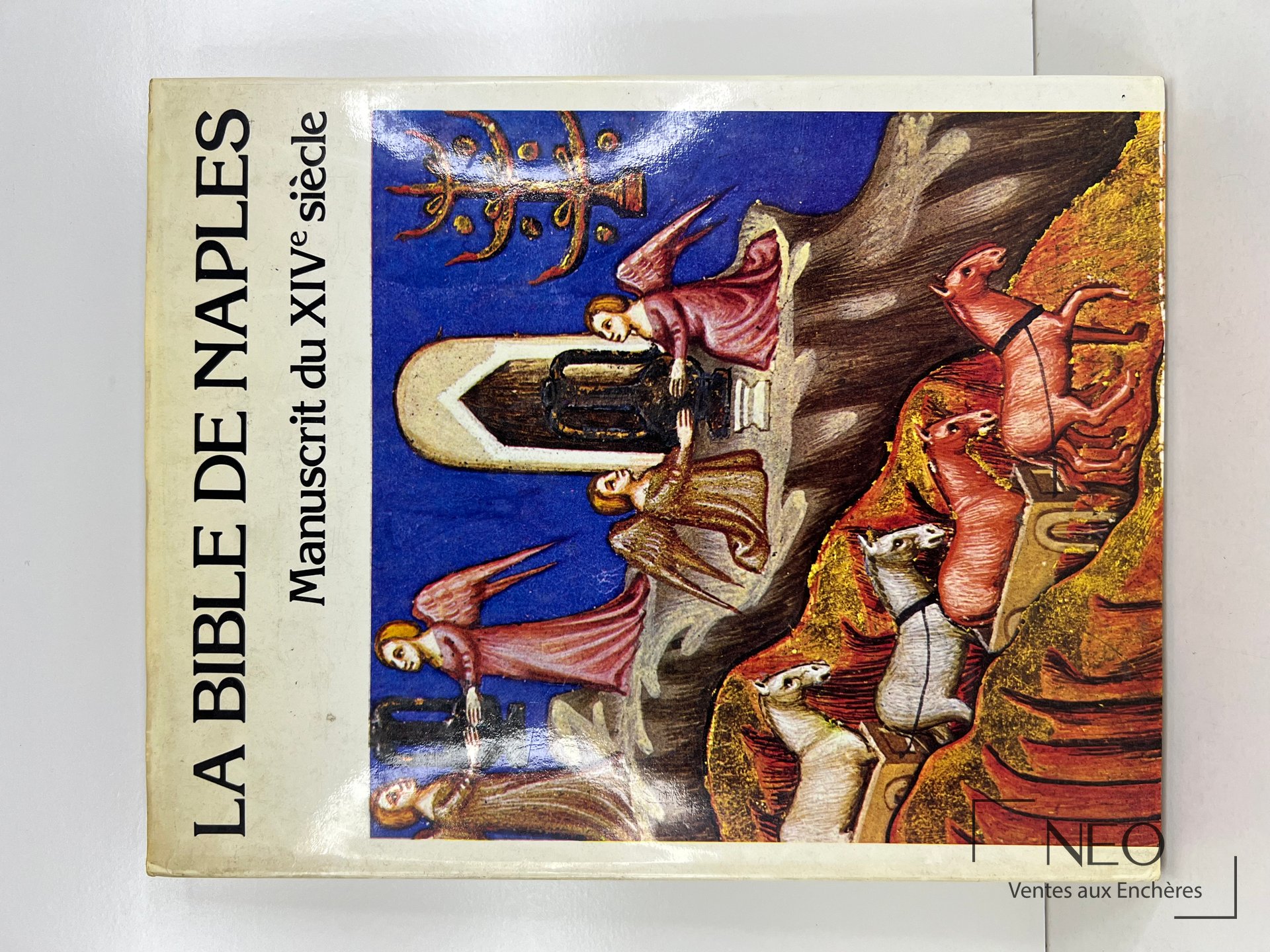 Couverture illustrée de La Bible de Naples avec titre et scène médiévale