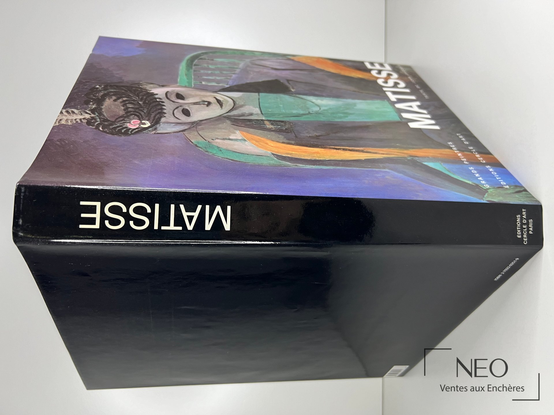 Couverture illustrée du livre Histoire des Grands Peintres