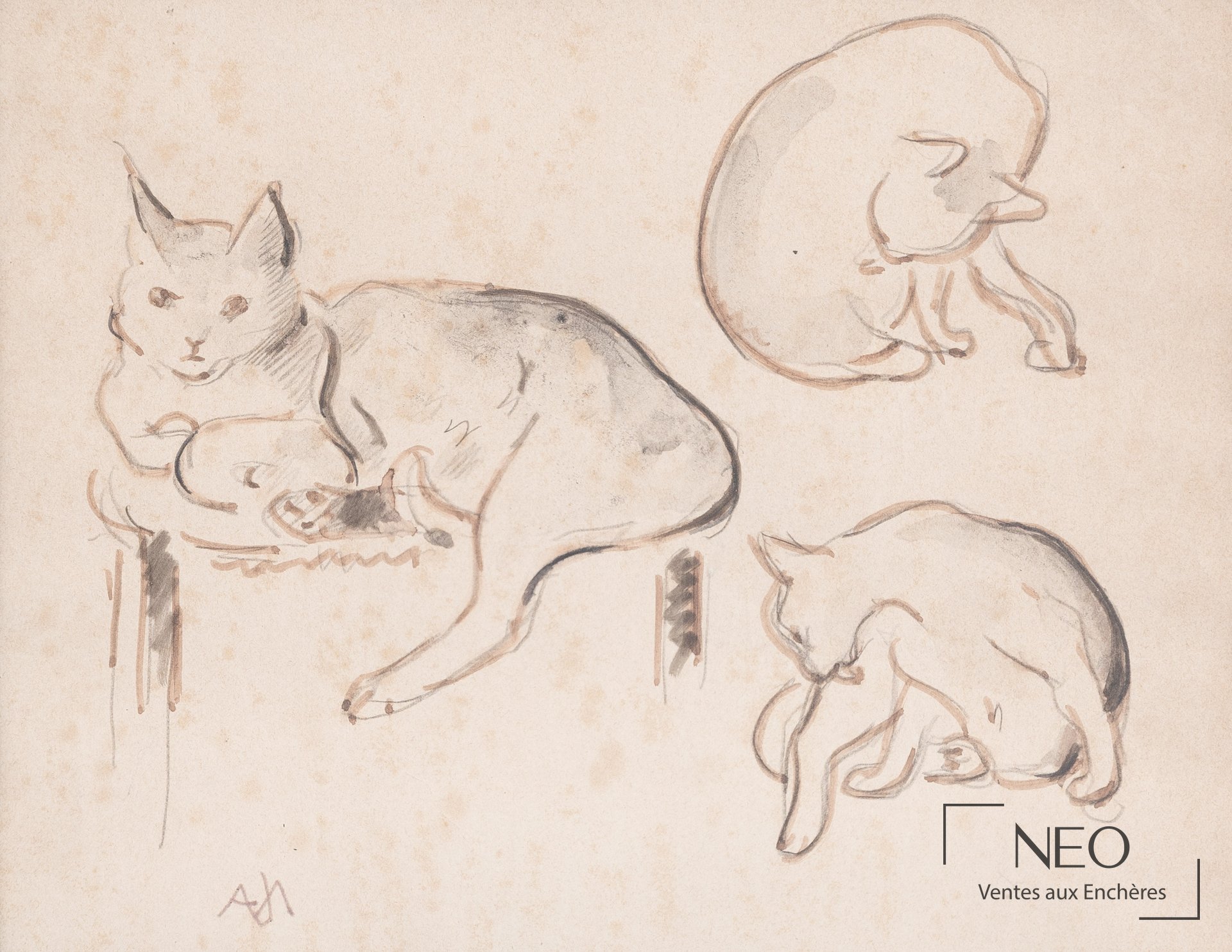 Dessin de trois chats par Jacques Nam