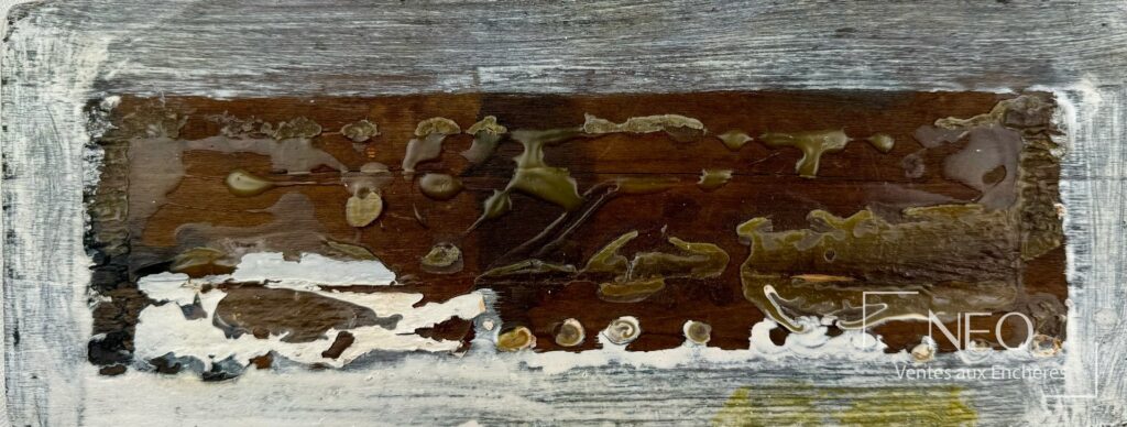 Technique mixte sur bois de Janine Mongillat